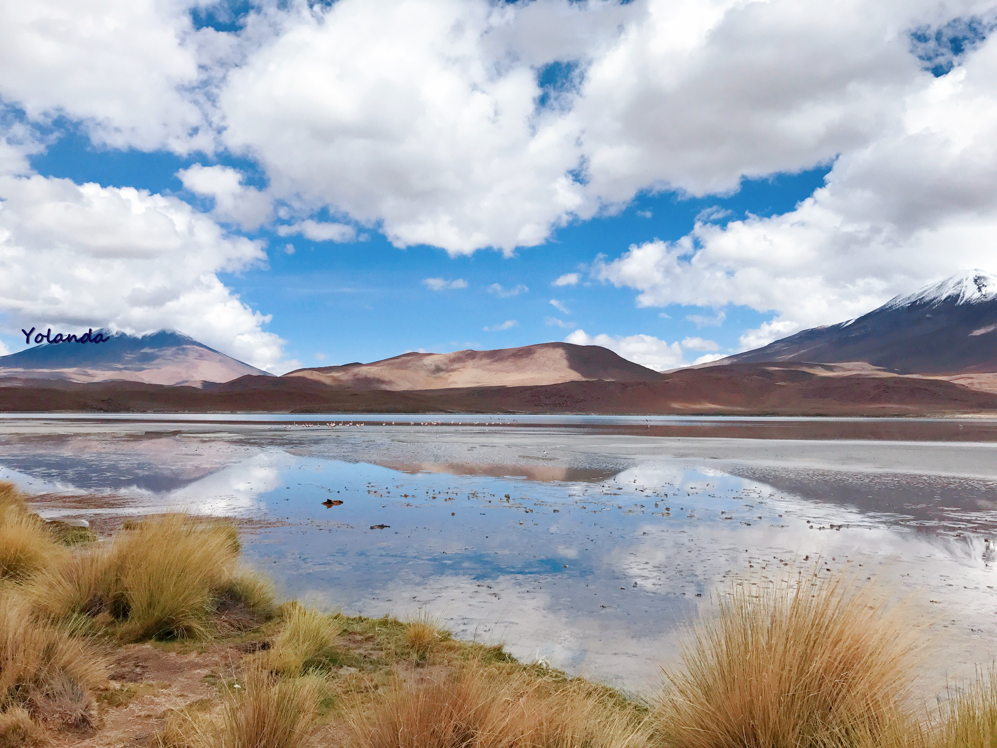 Laguna Hedionda