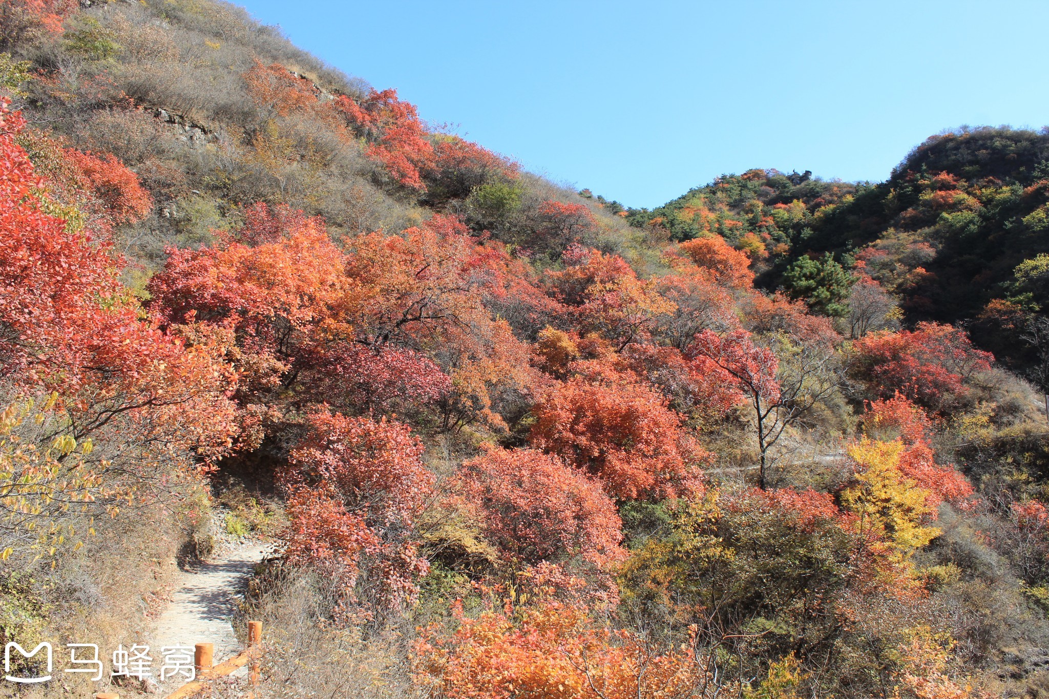 白银坨风景区 游记