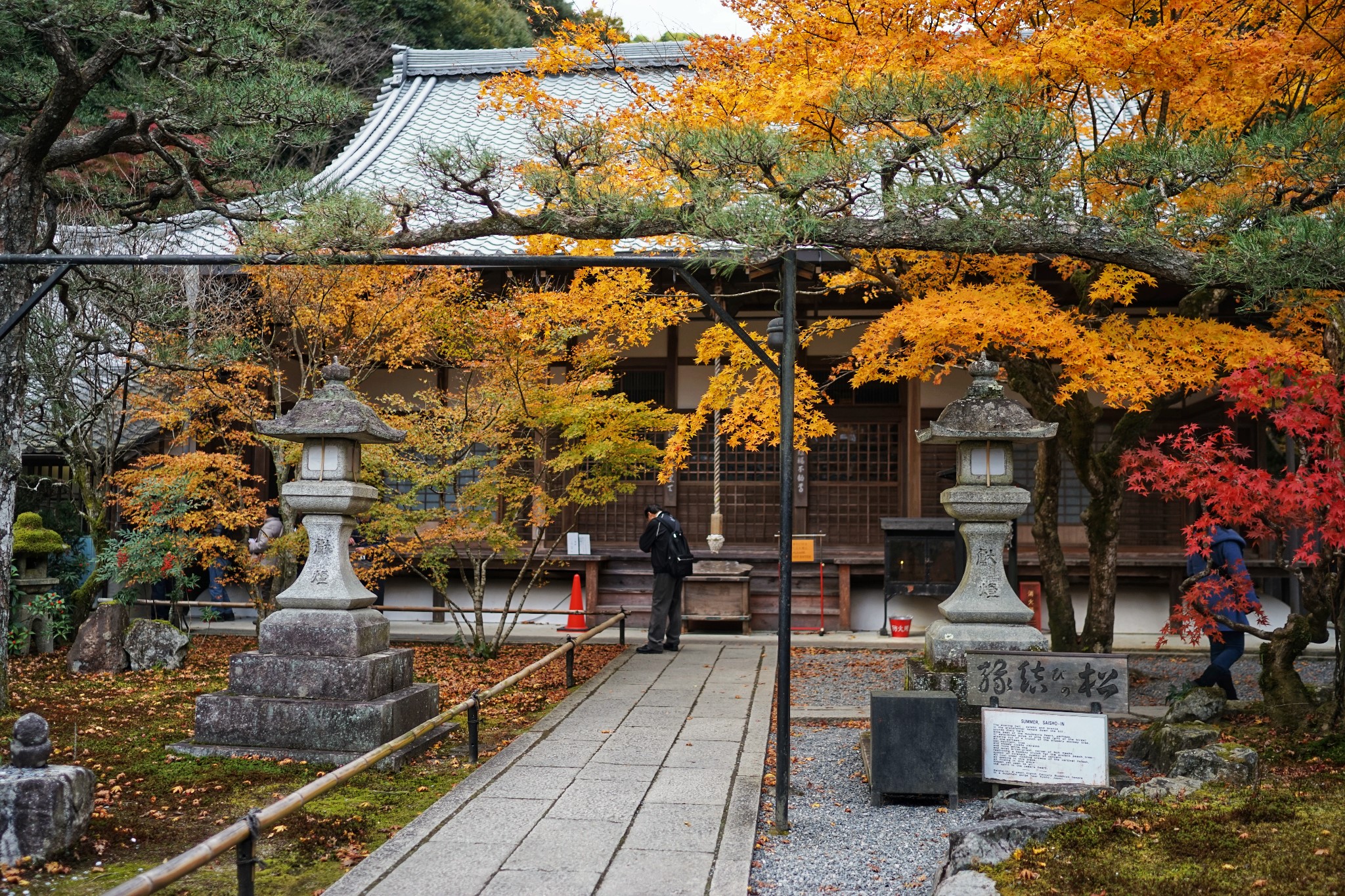 京都自助遊攻略