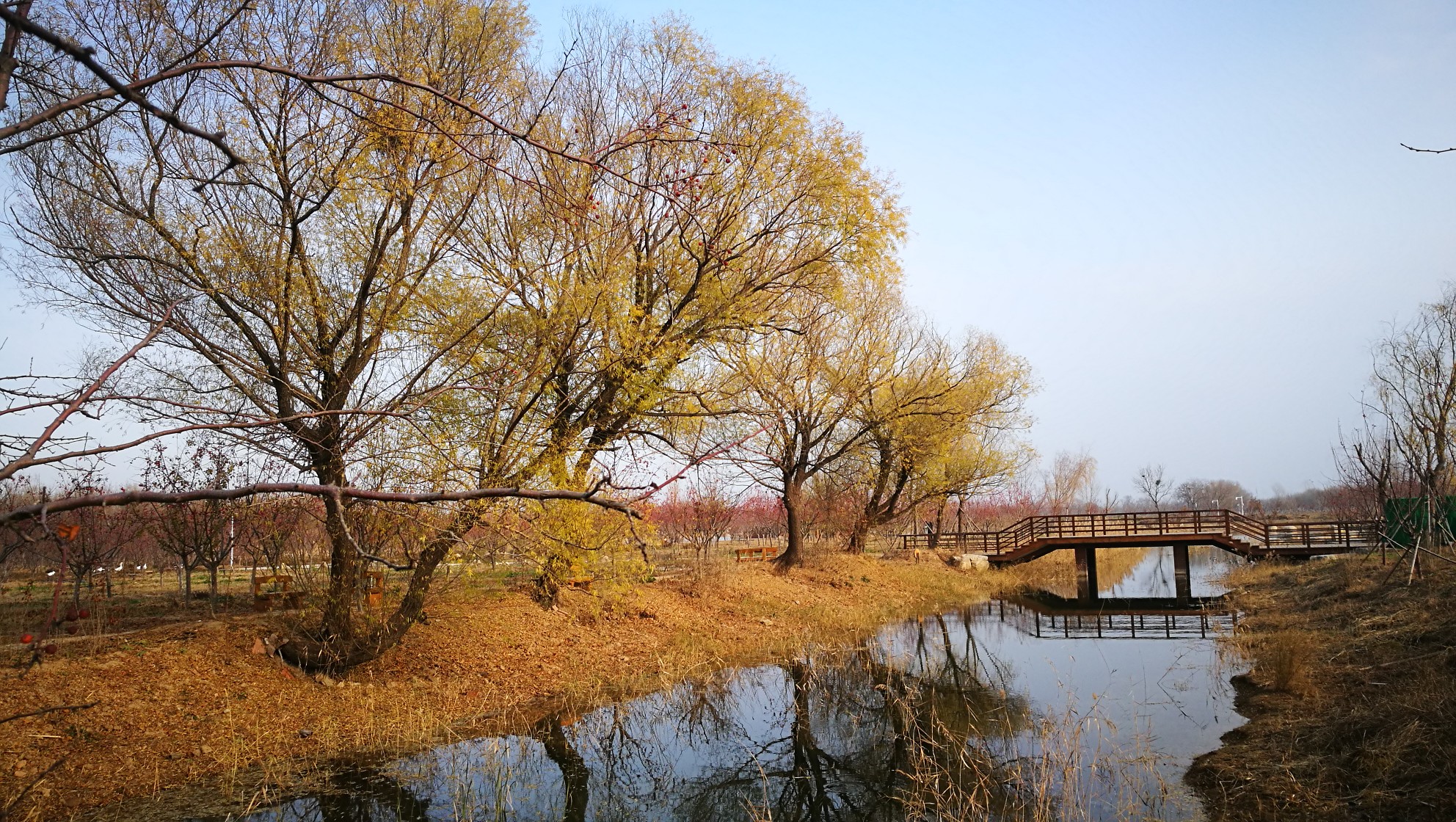 广利河森林湿地公园图片