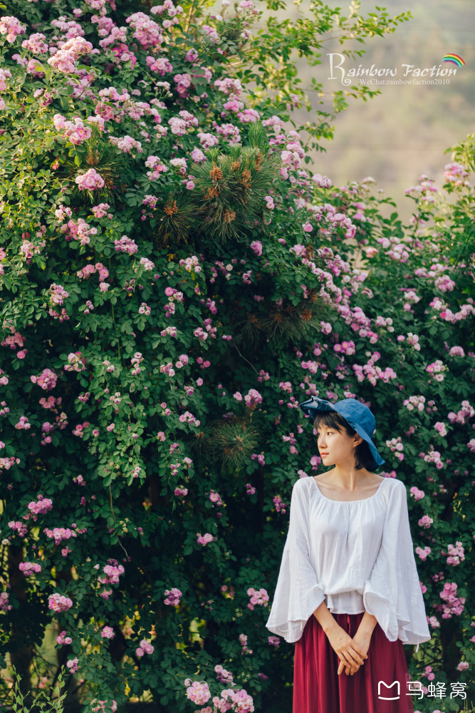 春天去赏花如何拍出好看有意境的照片