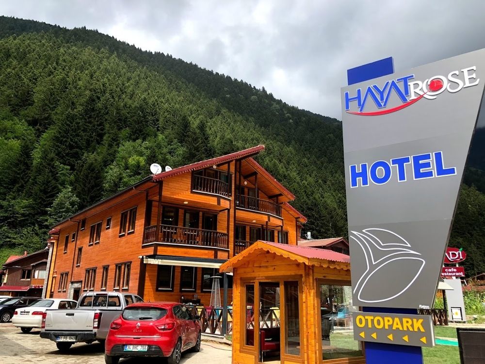 哈亚特玫瑰酒店预订,哈亚特玫瑰酒店价格_地址_图片