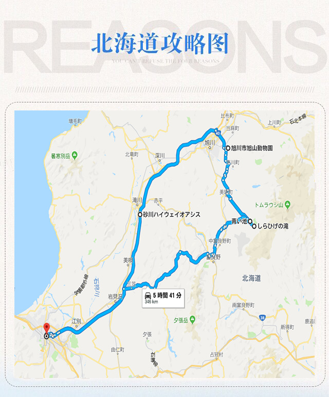 日本北海道旭川动物园精灵露台四季彩之丘青池白须瀑布一日游赠送美味