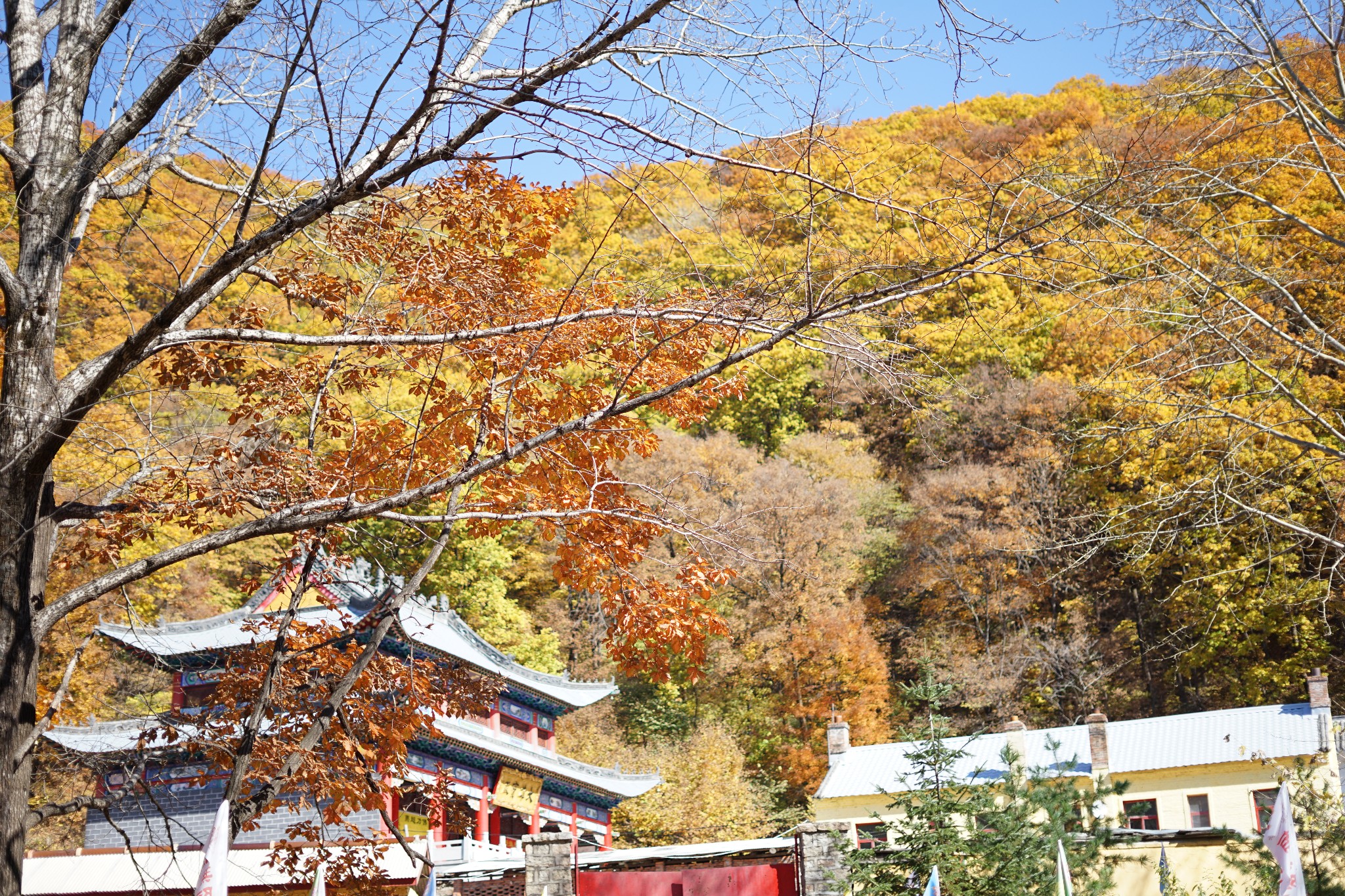 東北自助遊攻略