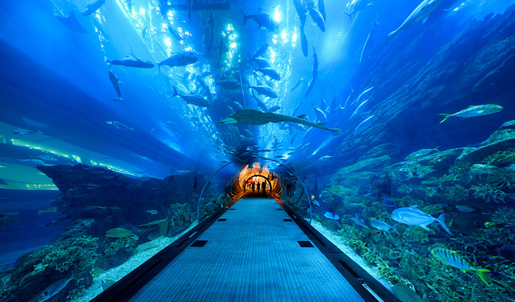 【官方】曼谷暹罗海洋世界/海洋馆/海底公园现场可订(扫码换票 即买即