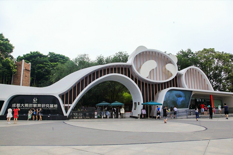 休闲之都 / 成都 熊猫基地 黄龙溪古镇一日游(成都三环内免费接车·逛