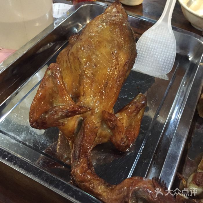 湛江森林公园翁瓮鸡图片