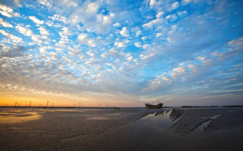 大丰荷兰花海东台黄海国家森林公园条子泥观海滩涂区二日游