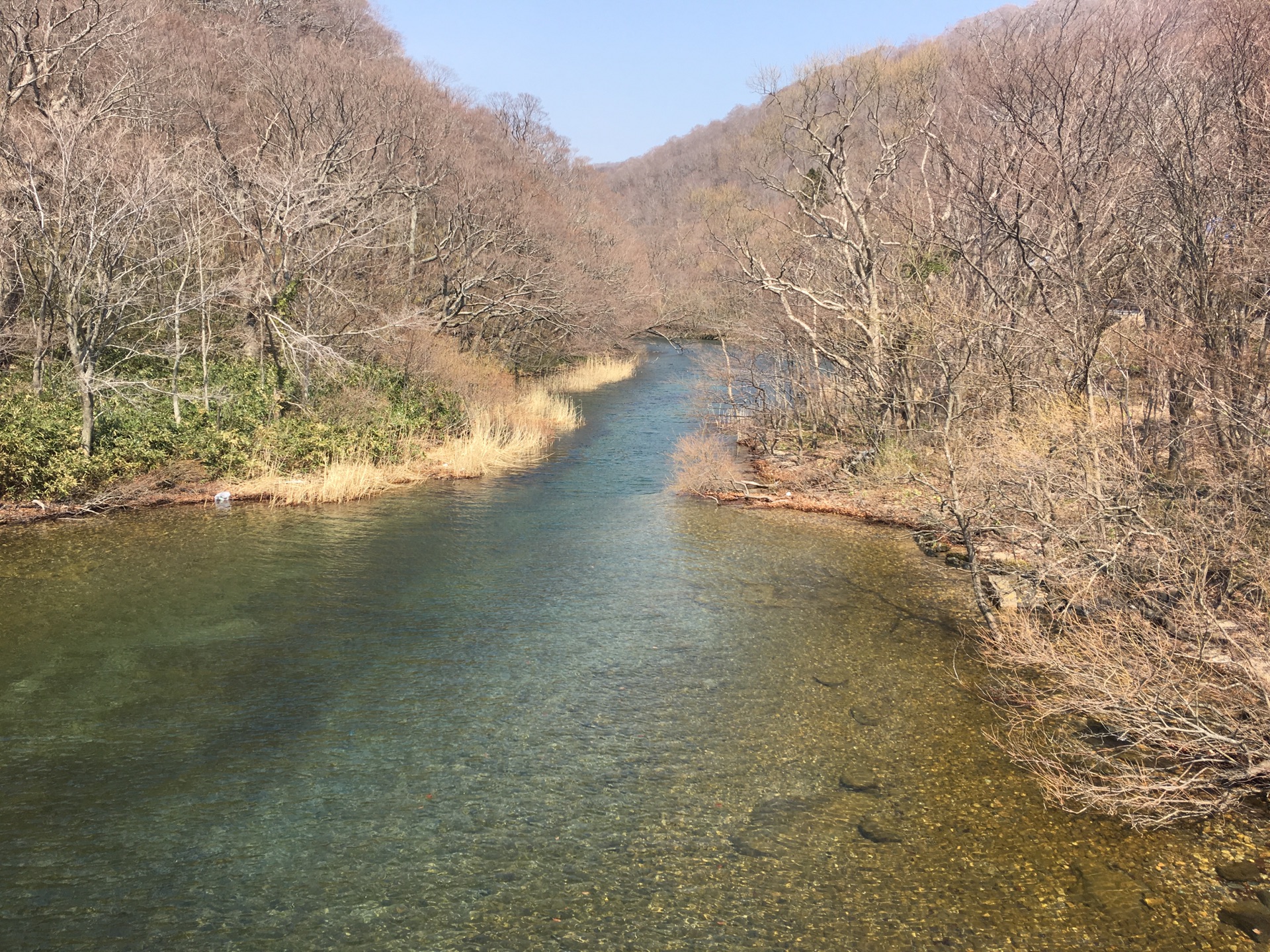 青森縣自助遊攻略