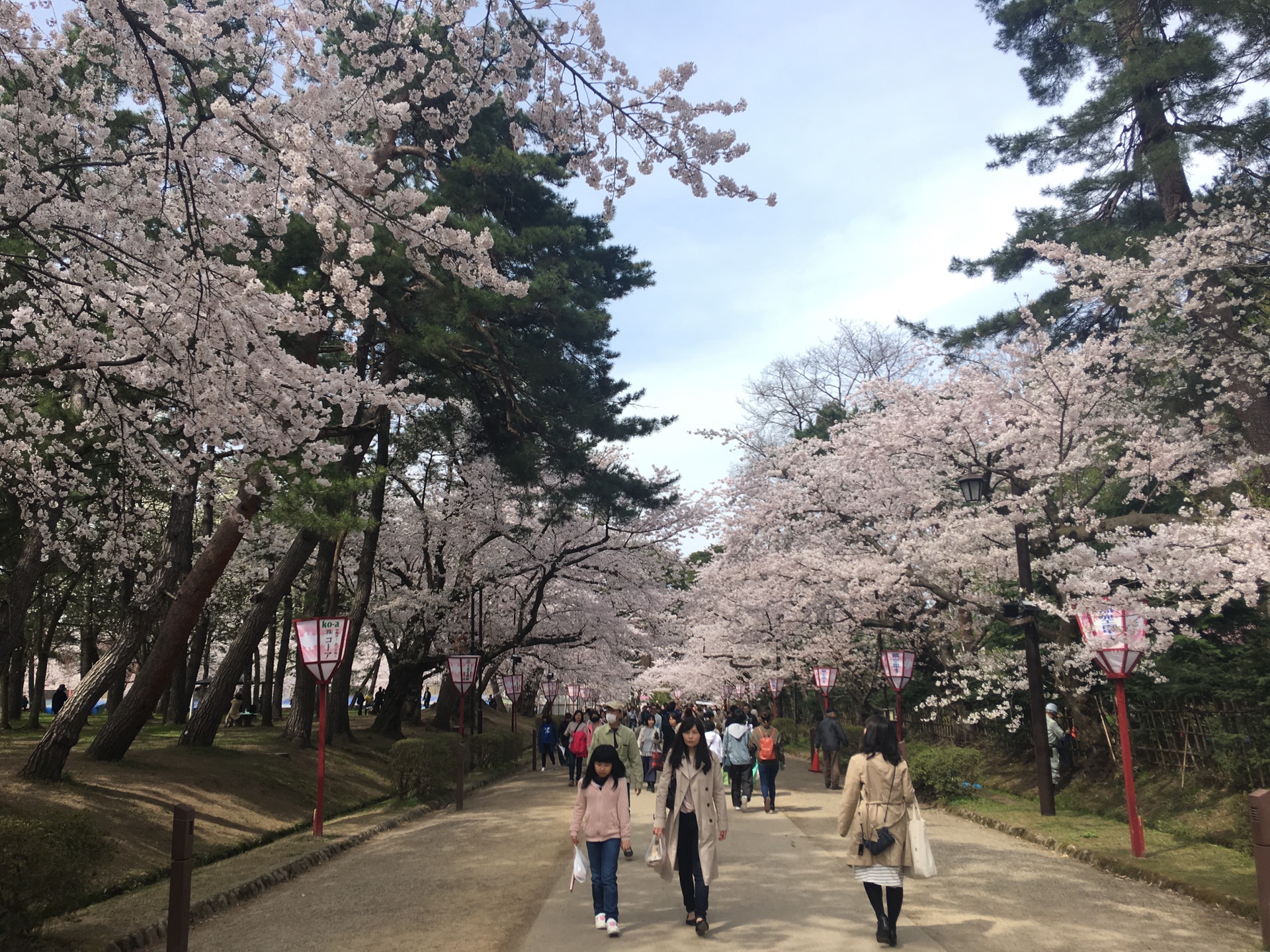 青森縣自助遊攻略