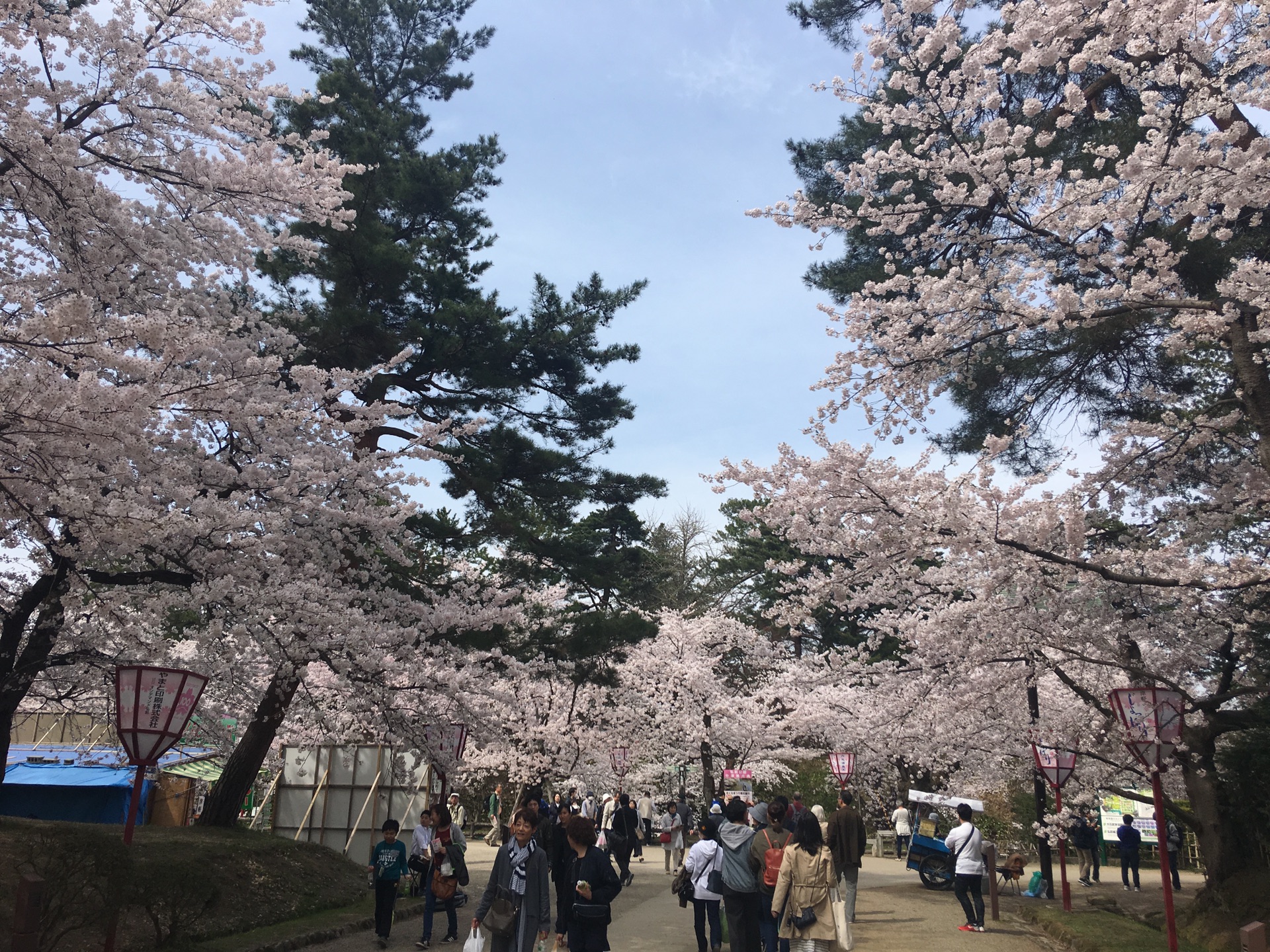 青森縣自助遊攻略