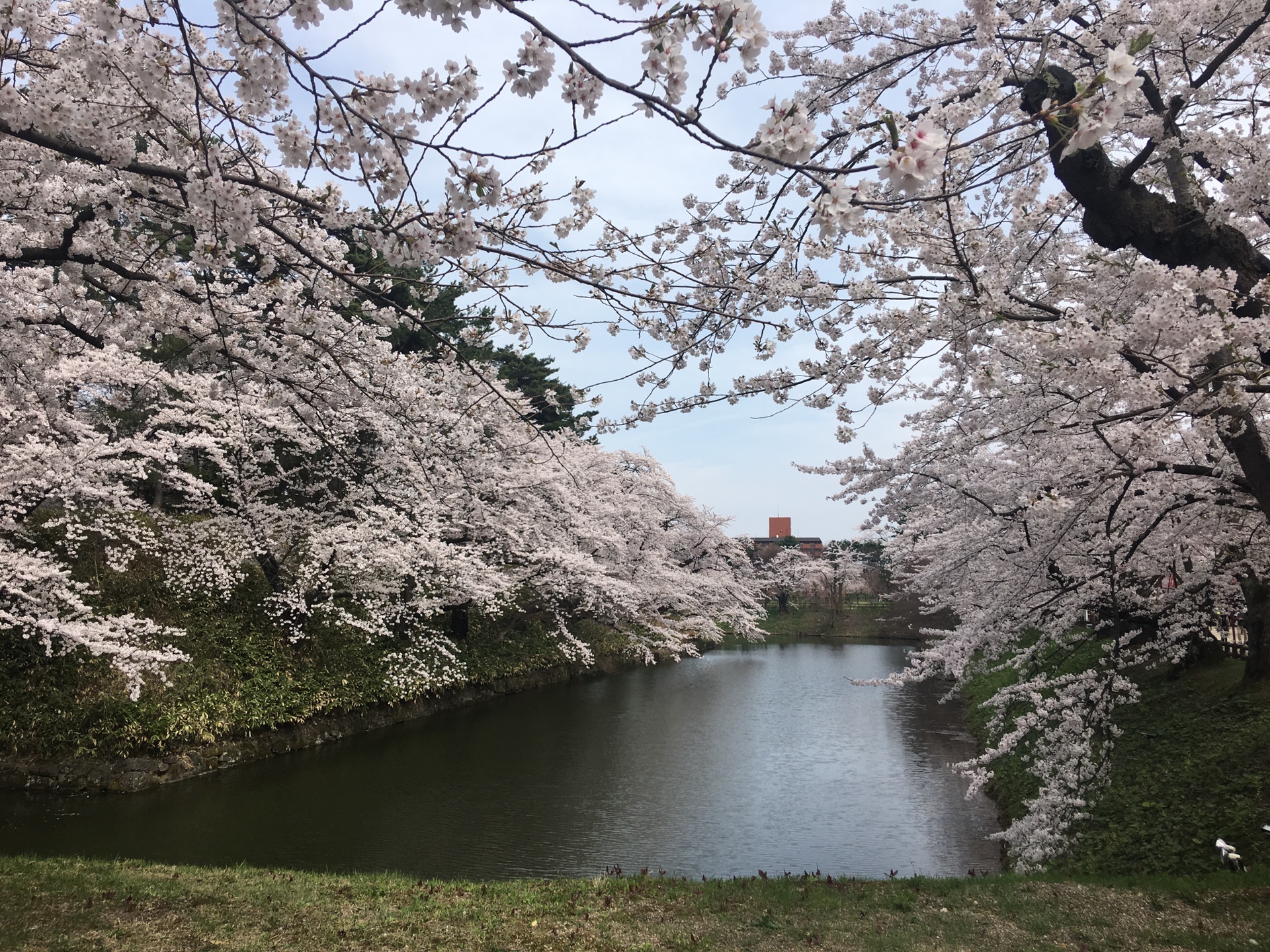 青森縣自助遊攻略