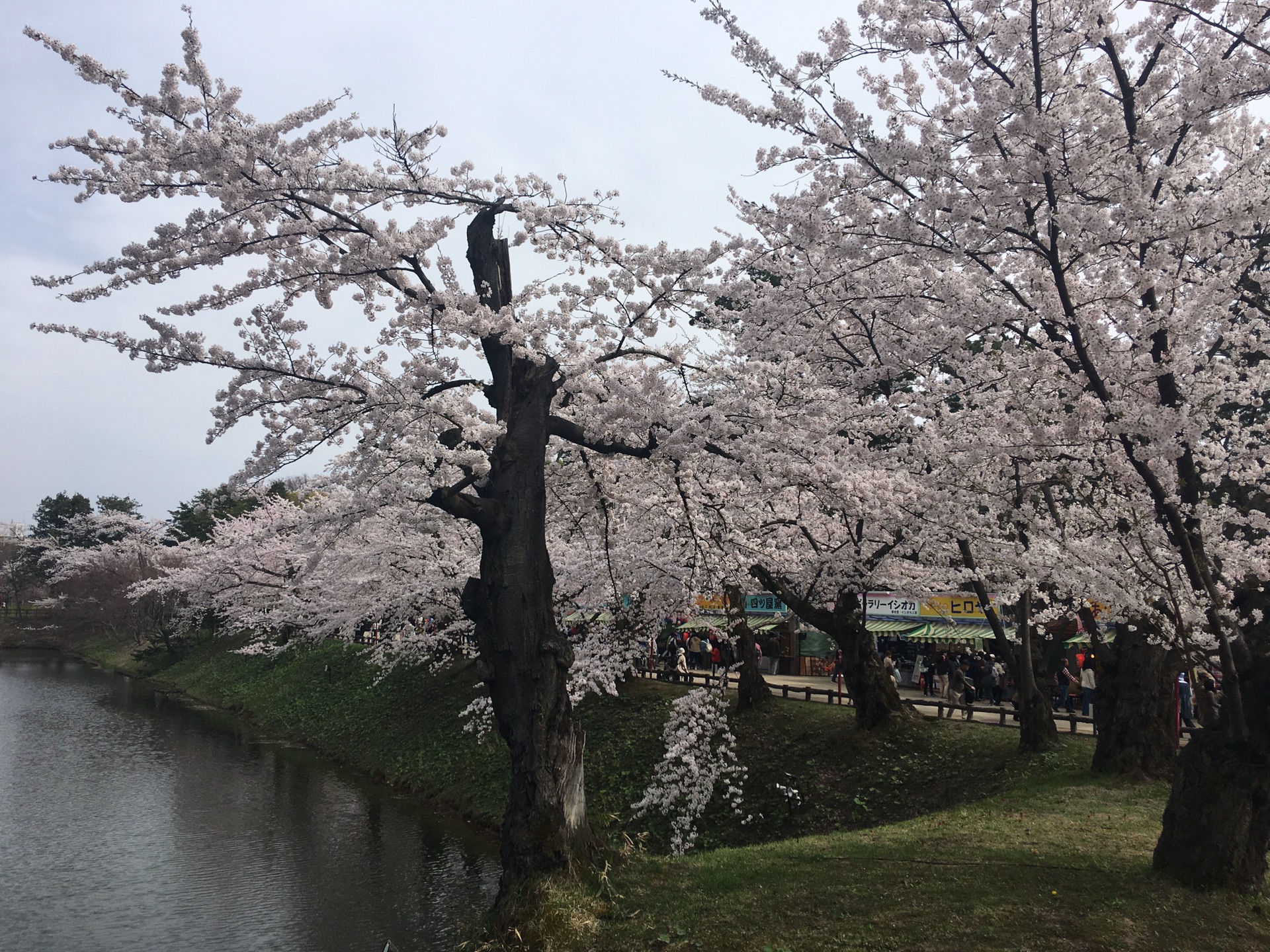 青森縣自助遊攻略