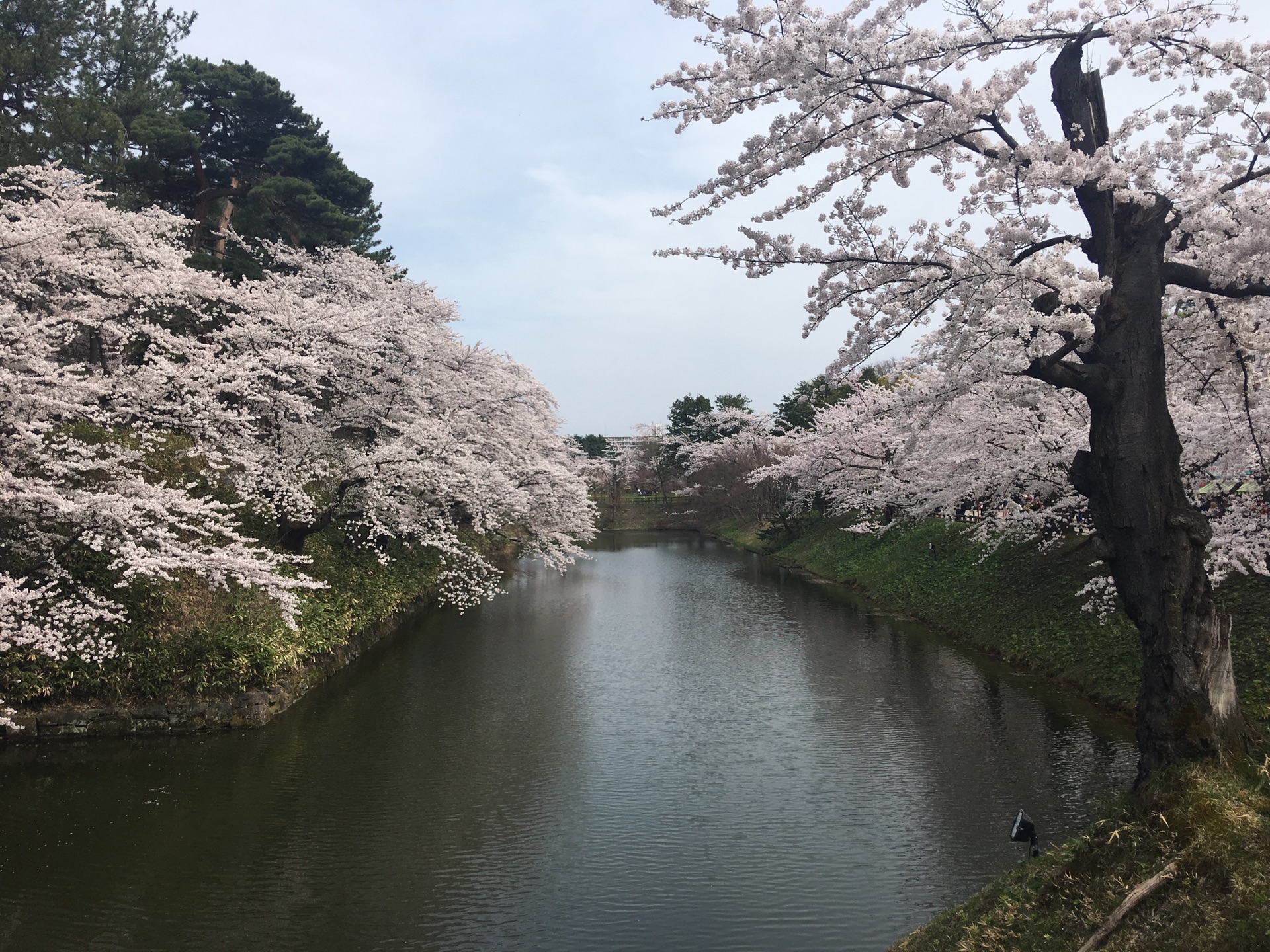 青森縣自助遊攻略