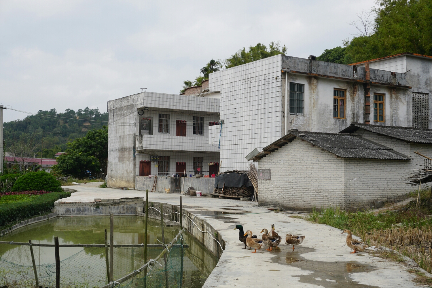 北流田振华田家庄图片