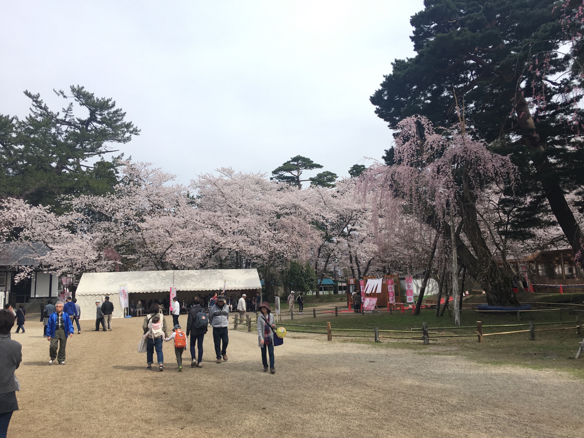 青森縣自助遊攻略