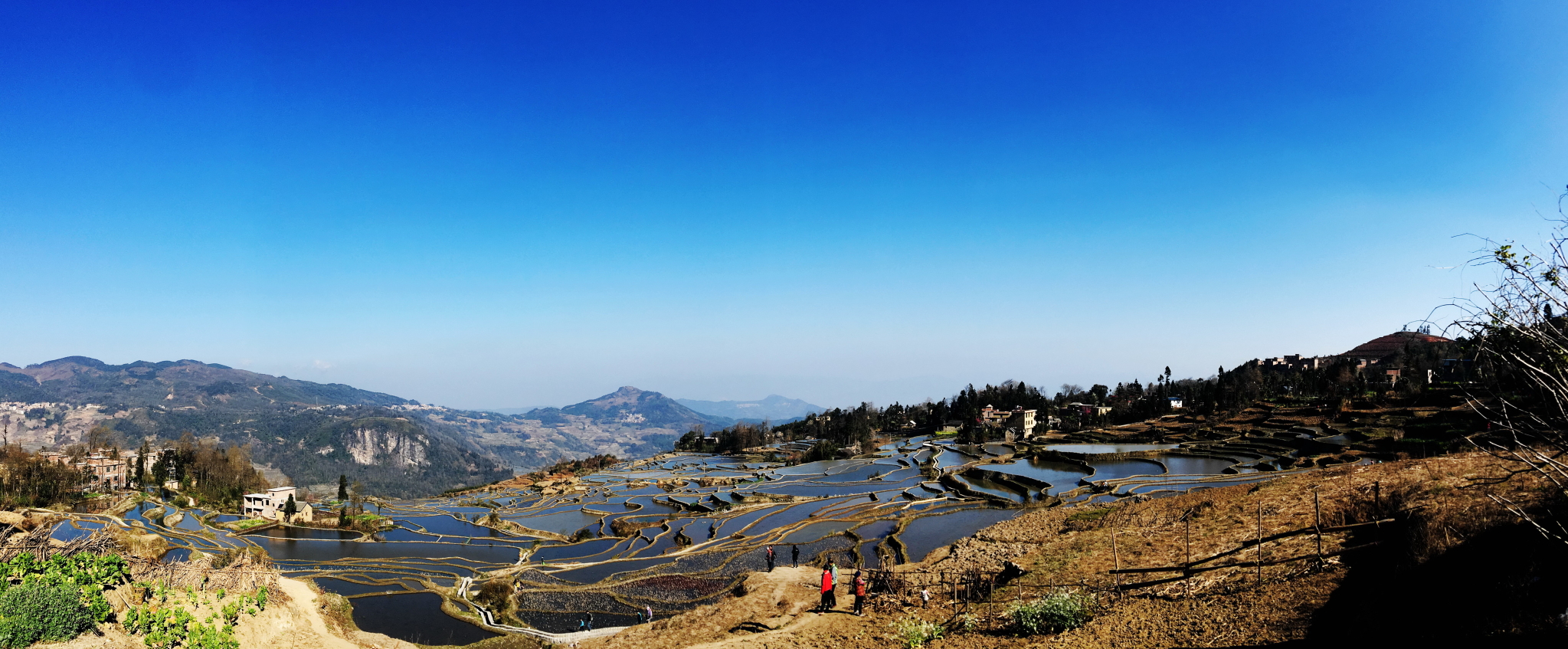 彩雲之南撫仙湖建水古城元陽梯田羅平菜花九龍瀑布萬峰林環遊記