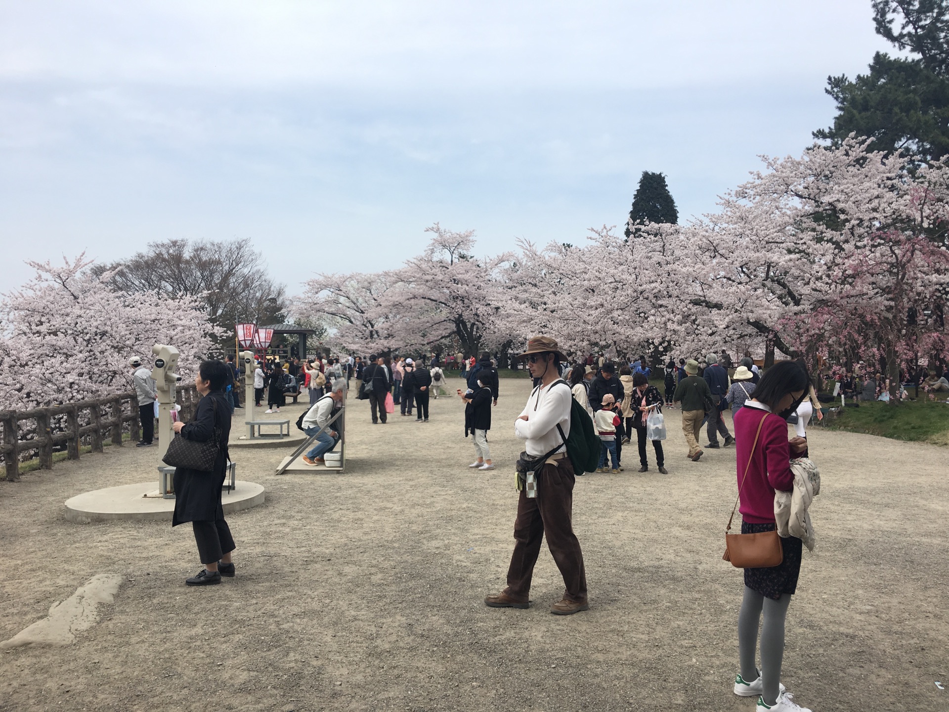 青森縣自助遊攻略