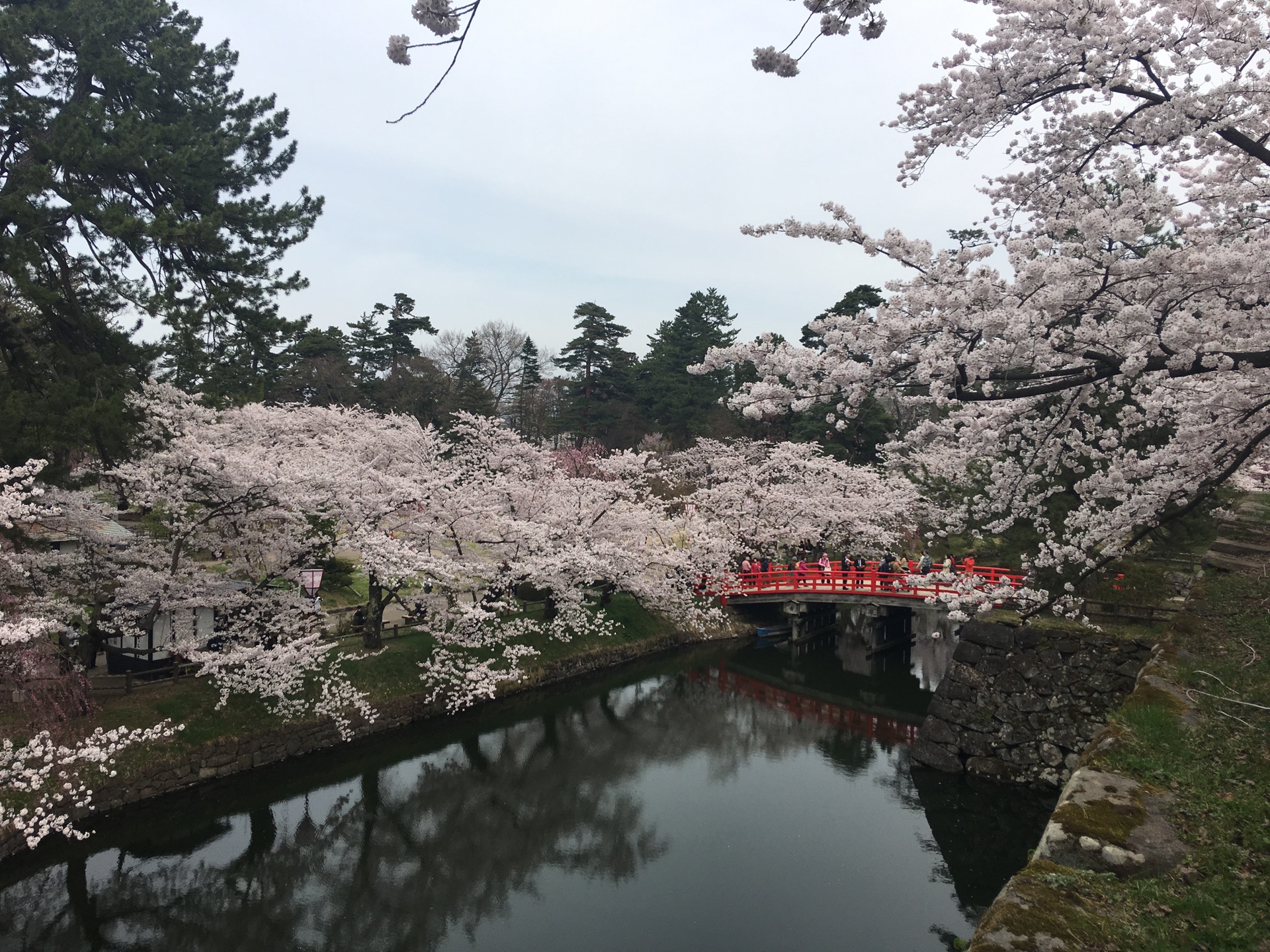 青森縣自助遊攻略