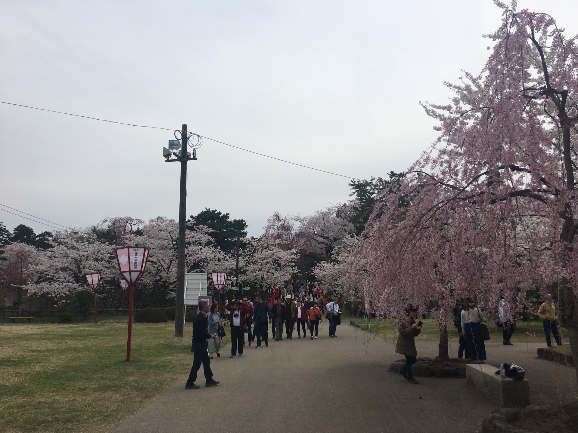 青森縣自助遊攻略