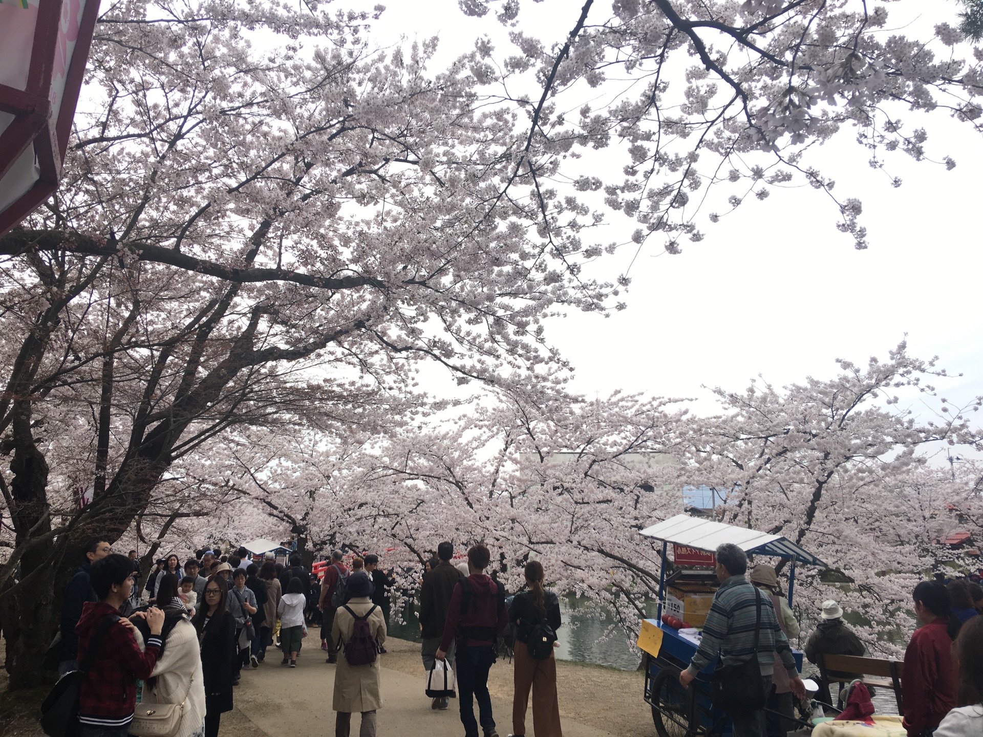 青森縣自助遊攻略