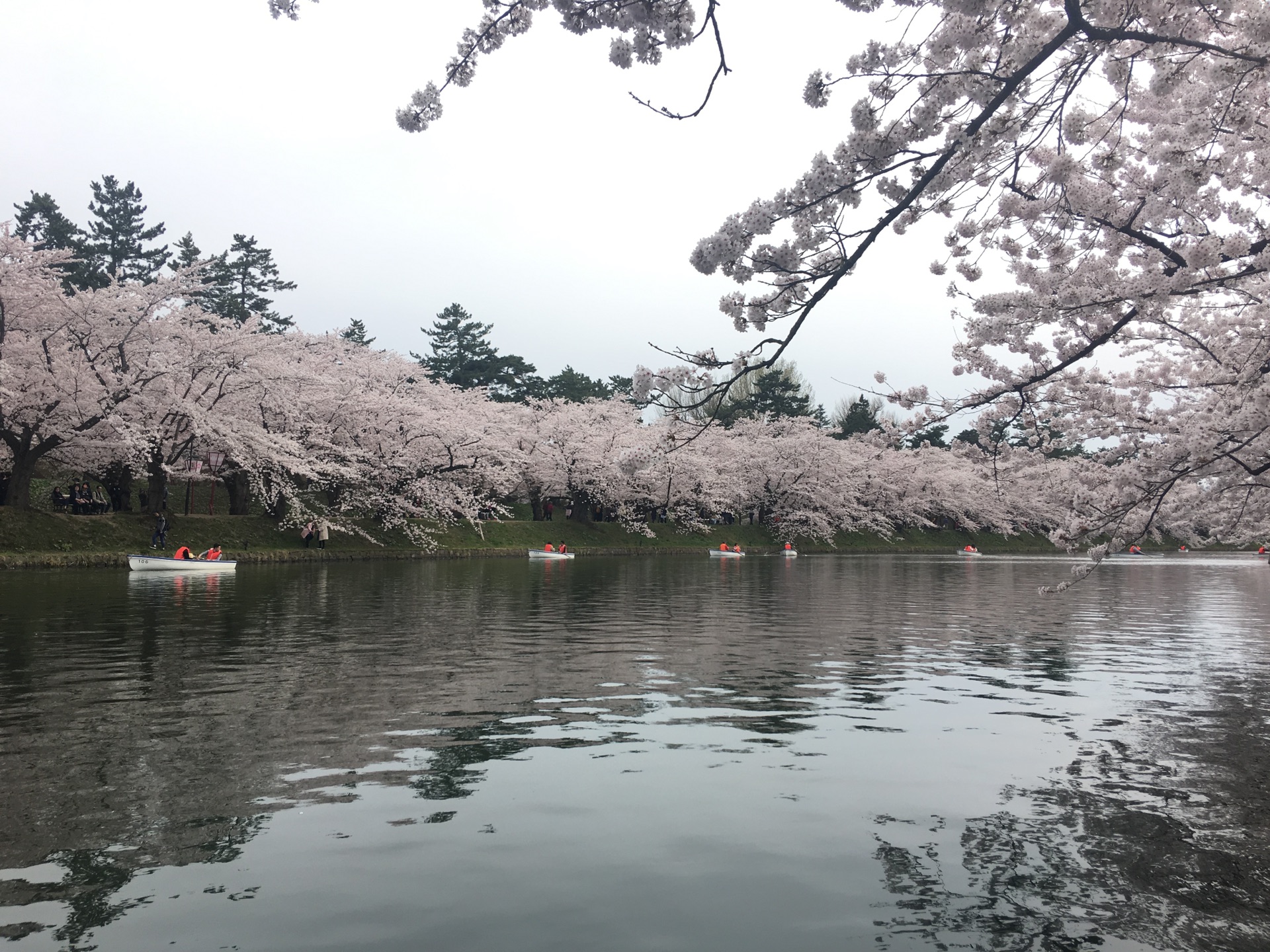 青森縣自助遊攻略