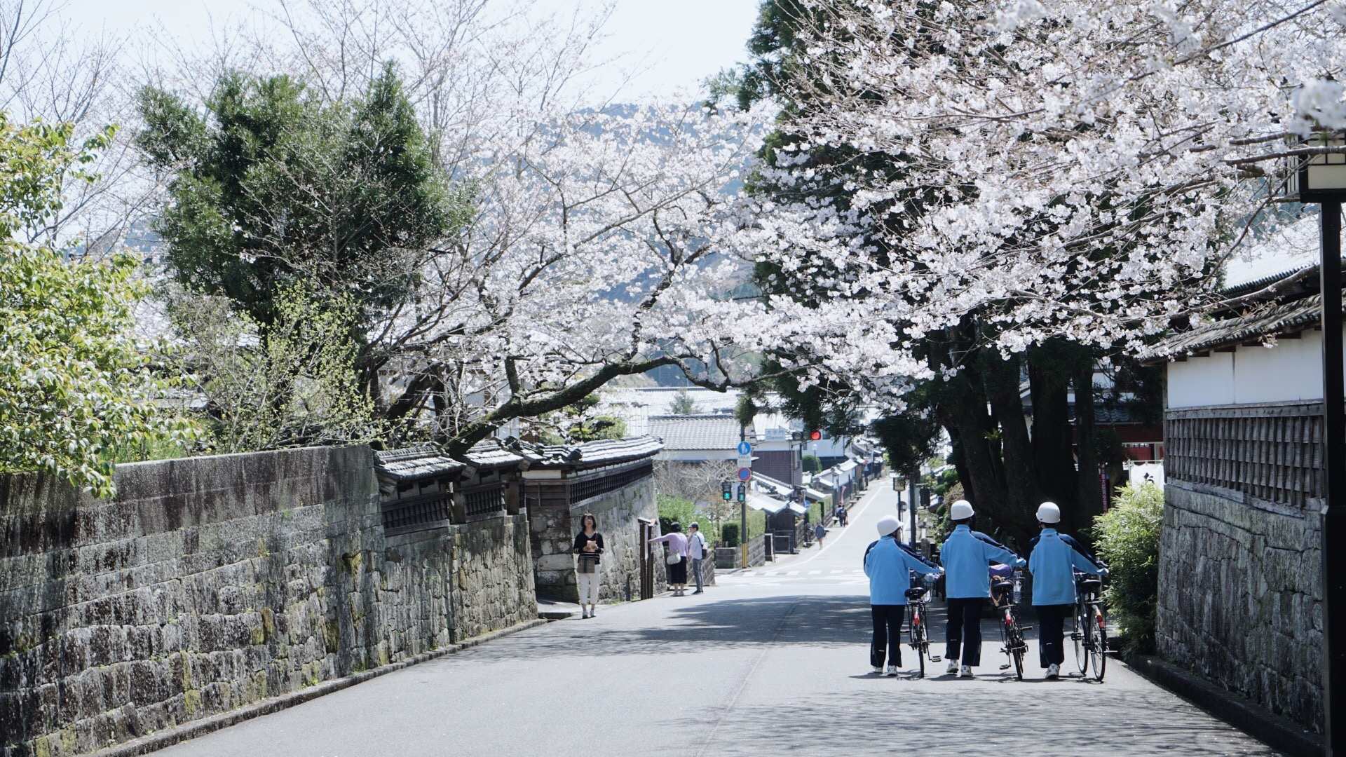 九州自助遊攻略