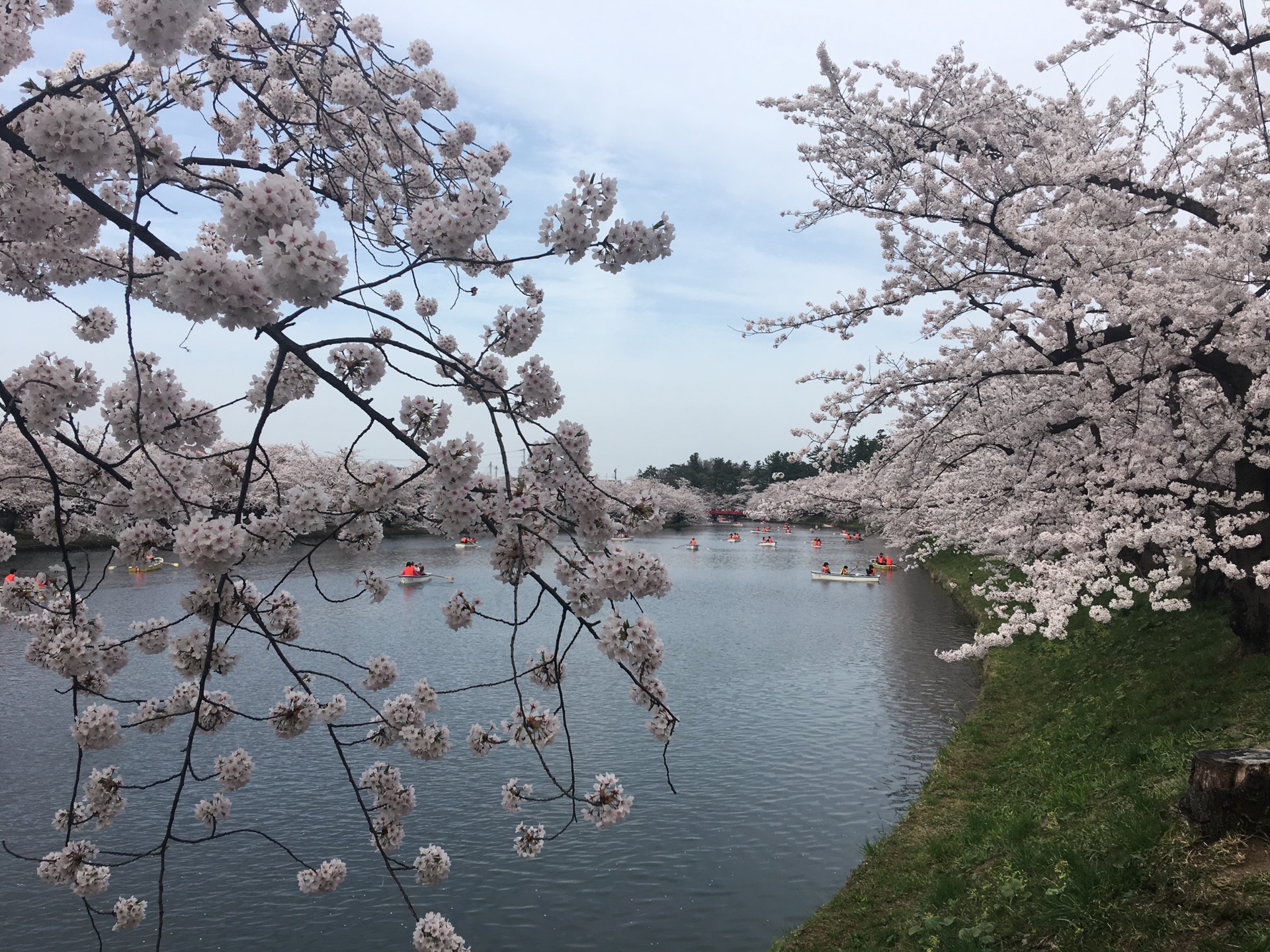 青森縣自助遊攻略