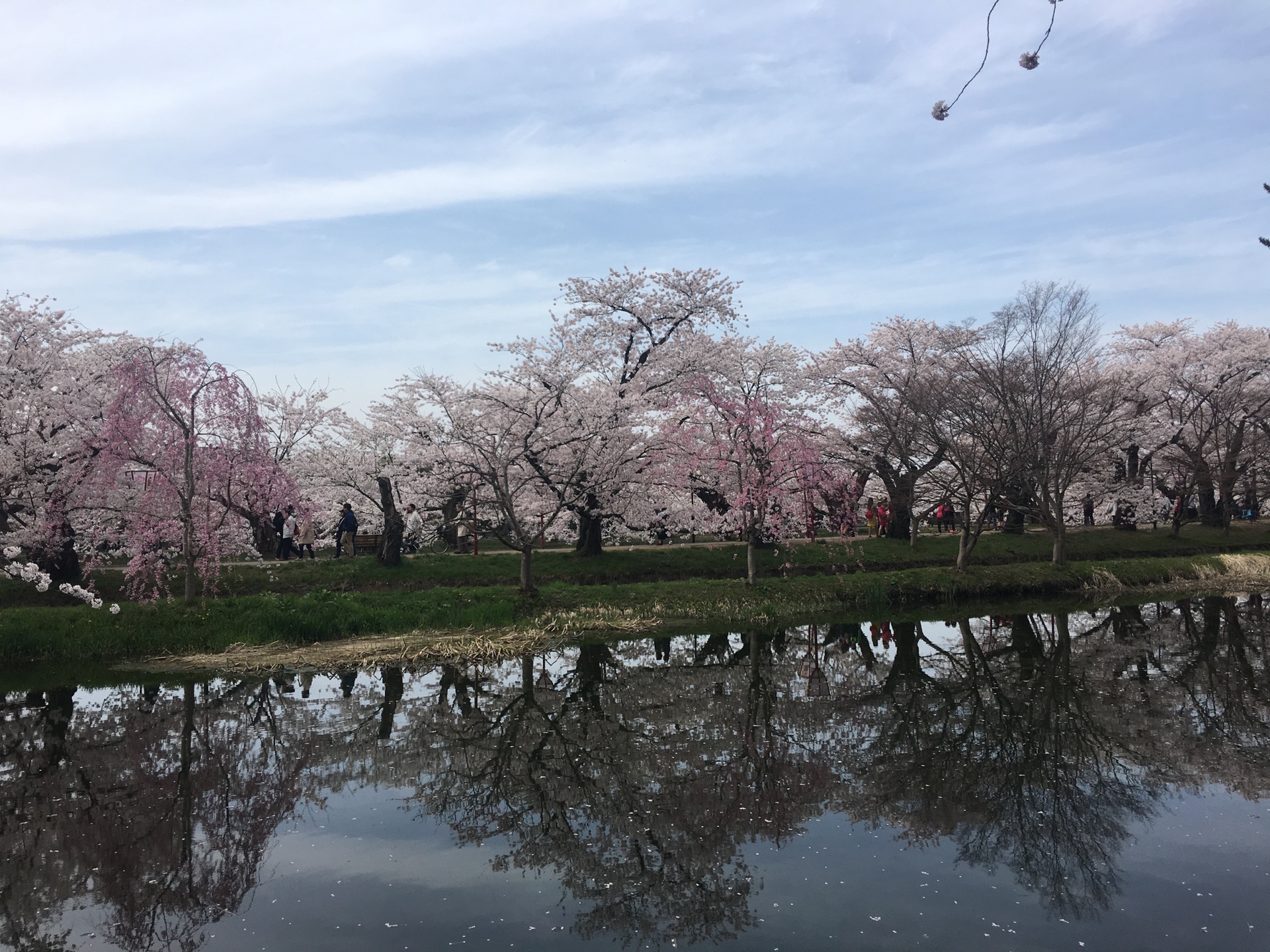 青森縣自助遊攻略