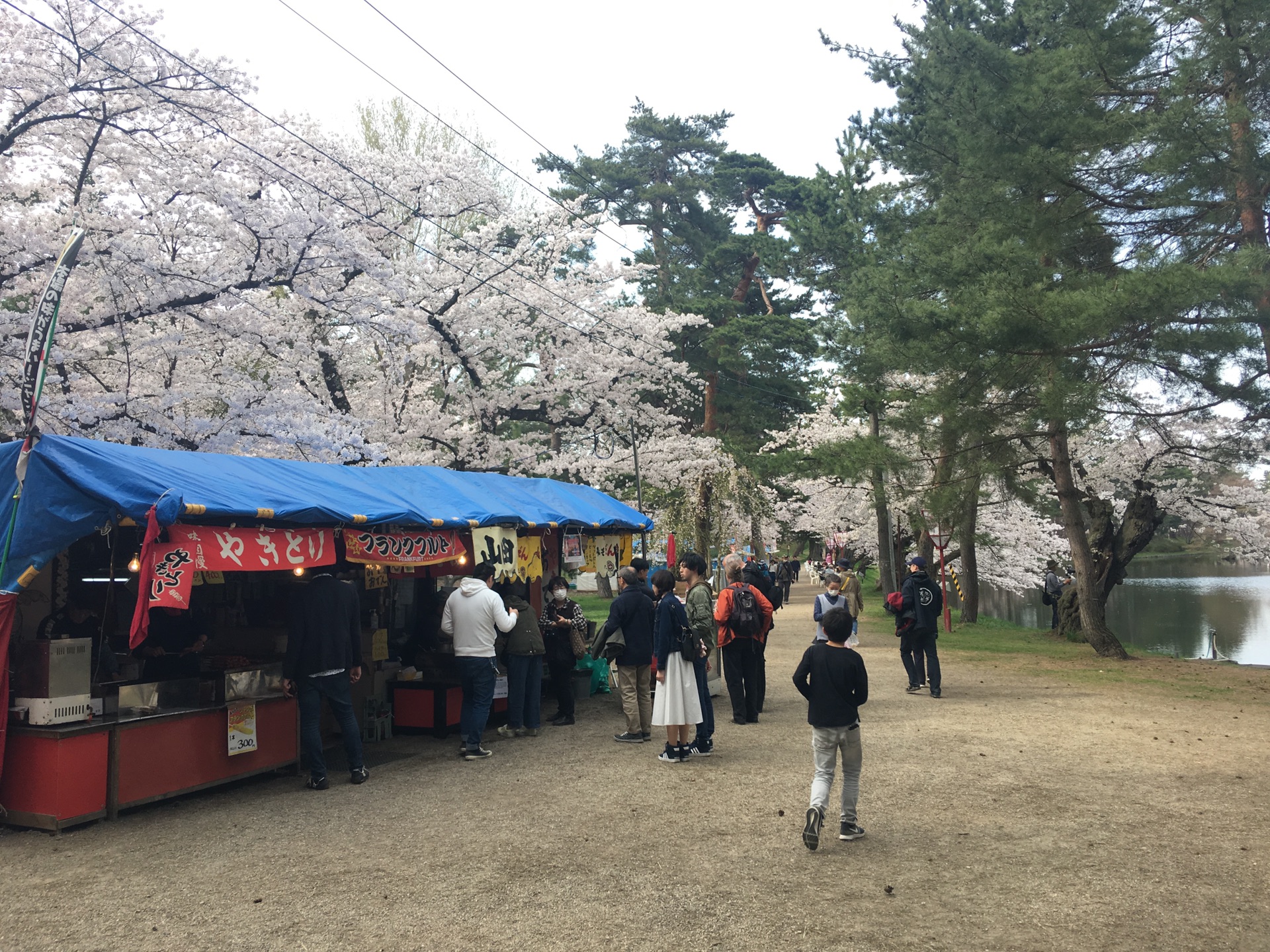 青森縣自助遊攻略