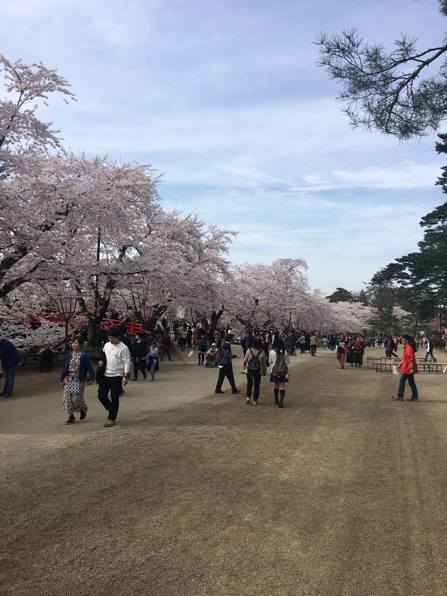 青森縣自助遊攻略