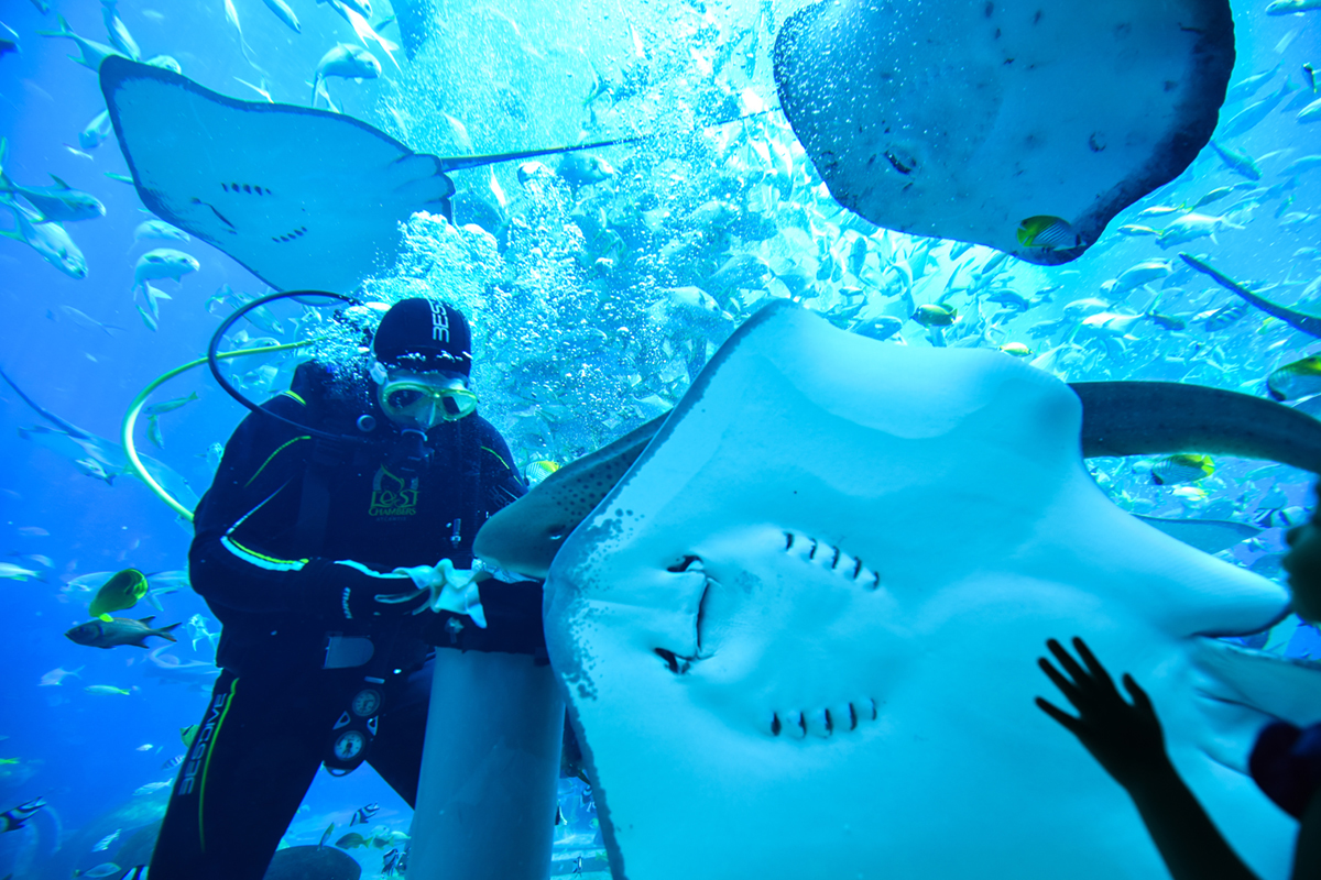 三亚亲子4天3晚玩3大海湾尝3大美食打卡亚特兰蒂斯