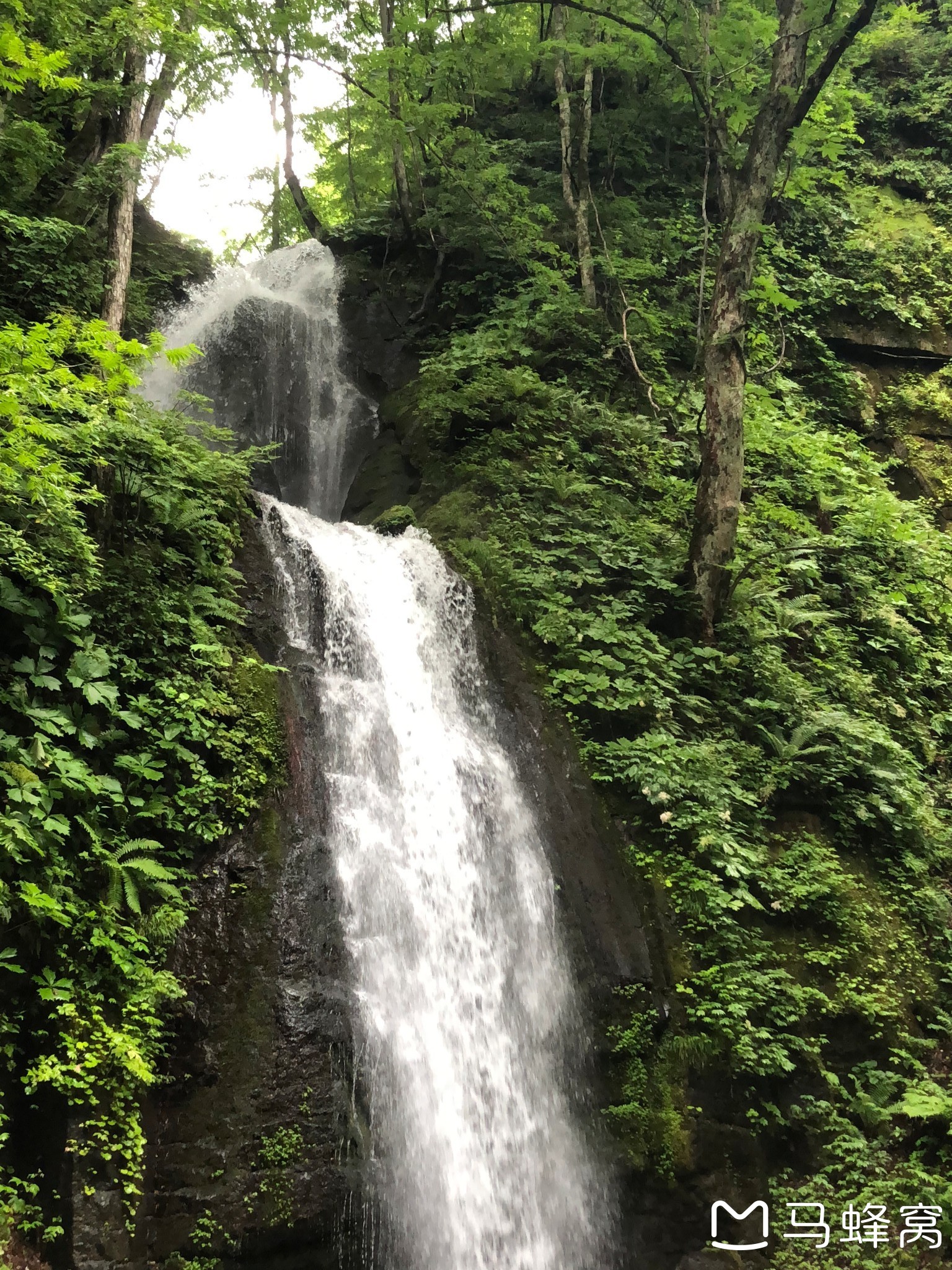 青森縣自助遊攻略