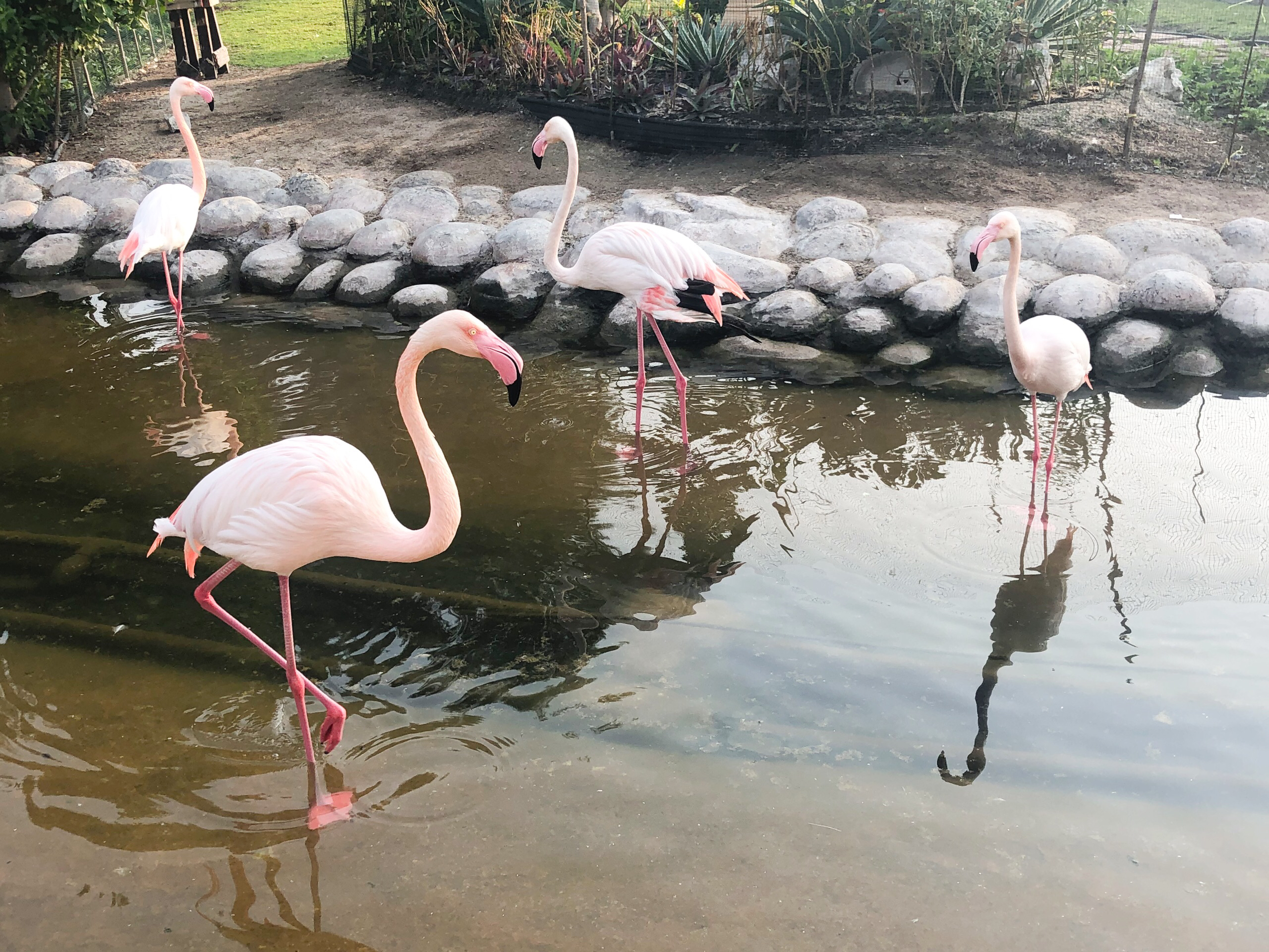 Al Areen Wildlife Park & Reserve