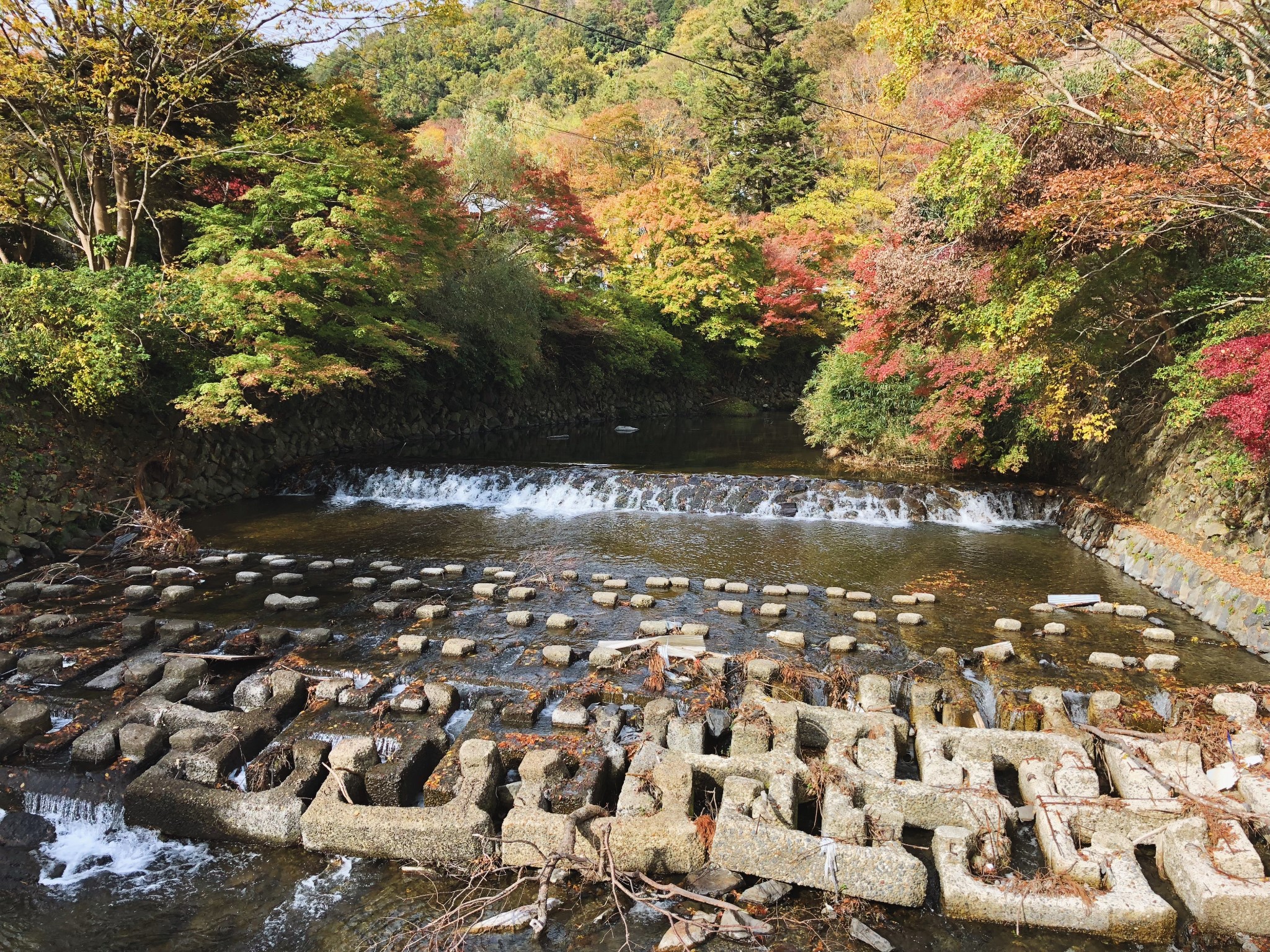 京都自助遊攻略