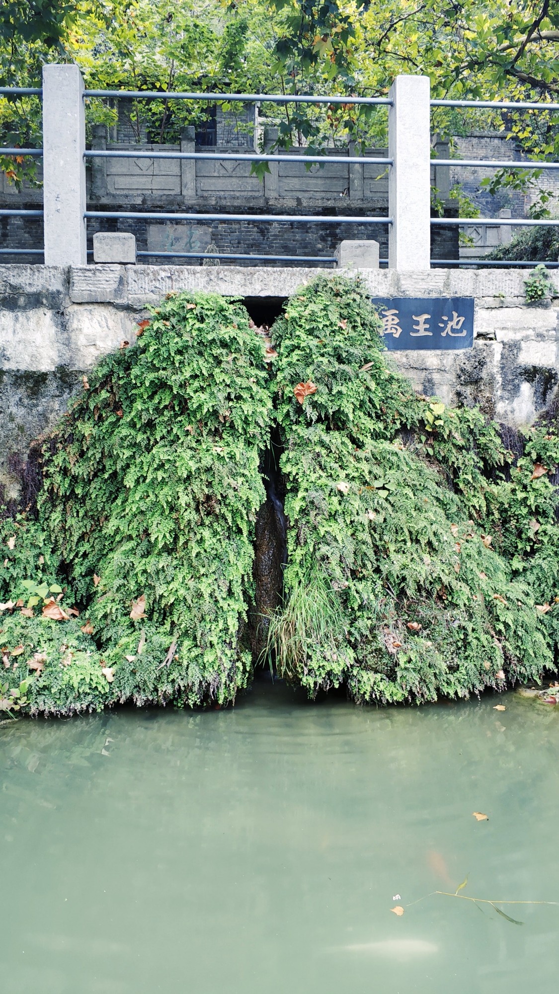 龍門石窟自助遊攻略