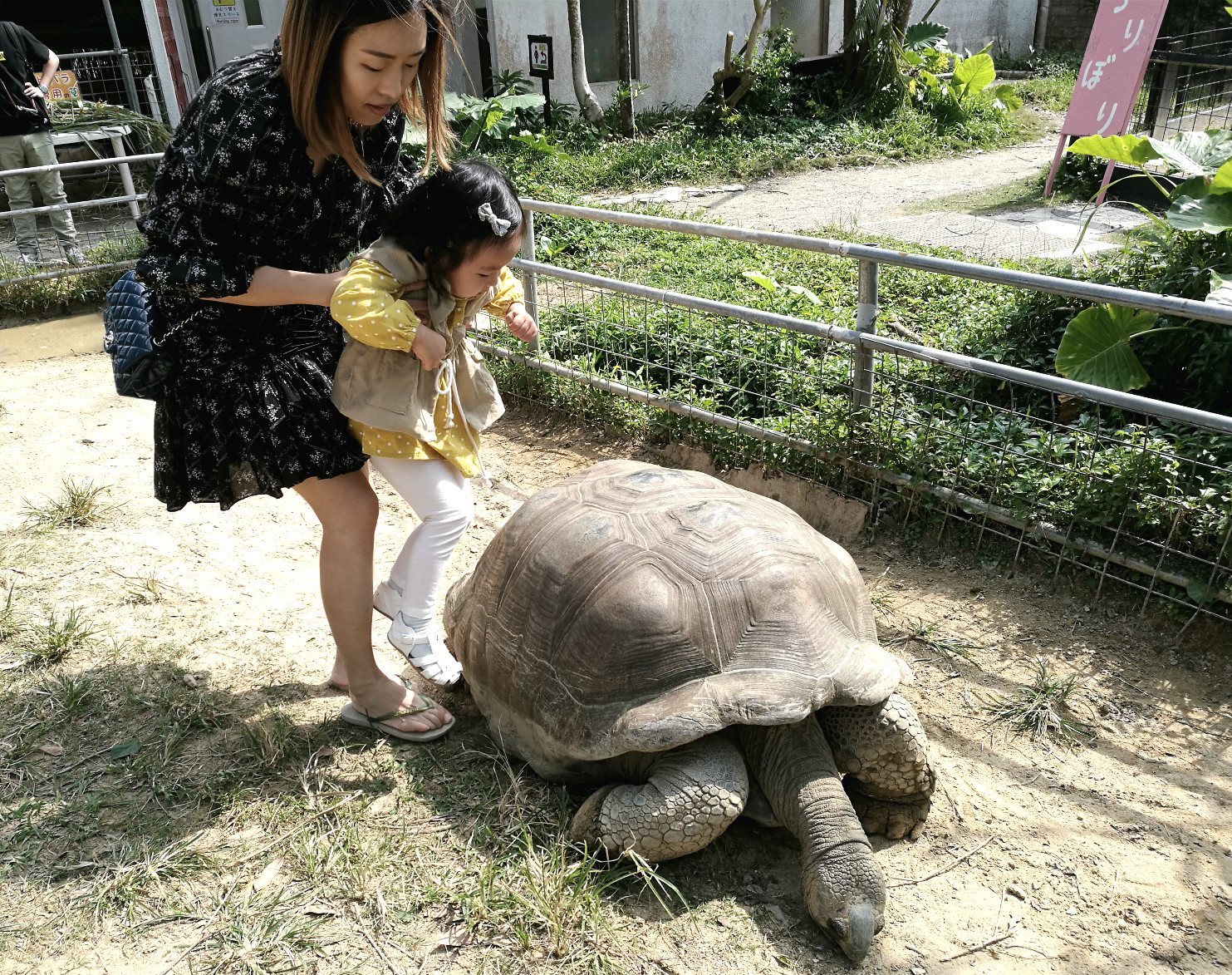 沖繩自助遊攻略