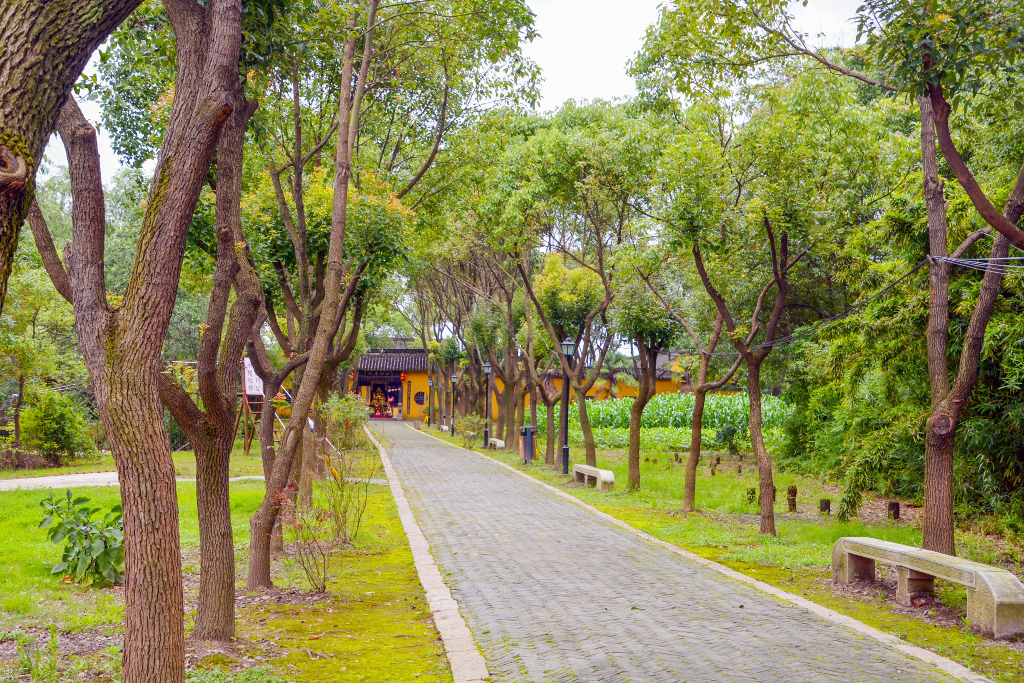 甪直 張陵山遺址(省保),甪直自助遊攻略 - 馬蜂窩