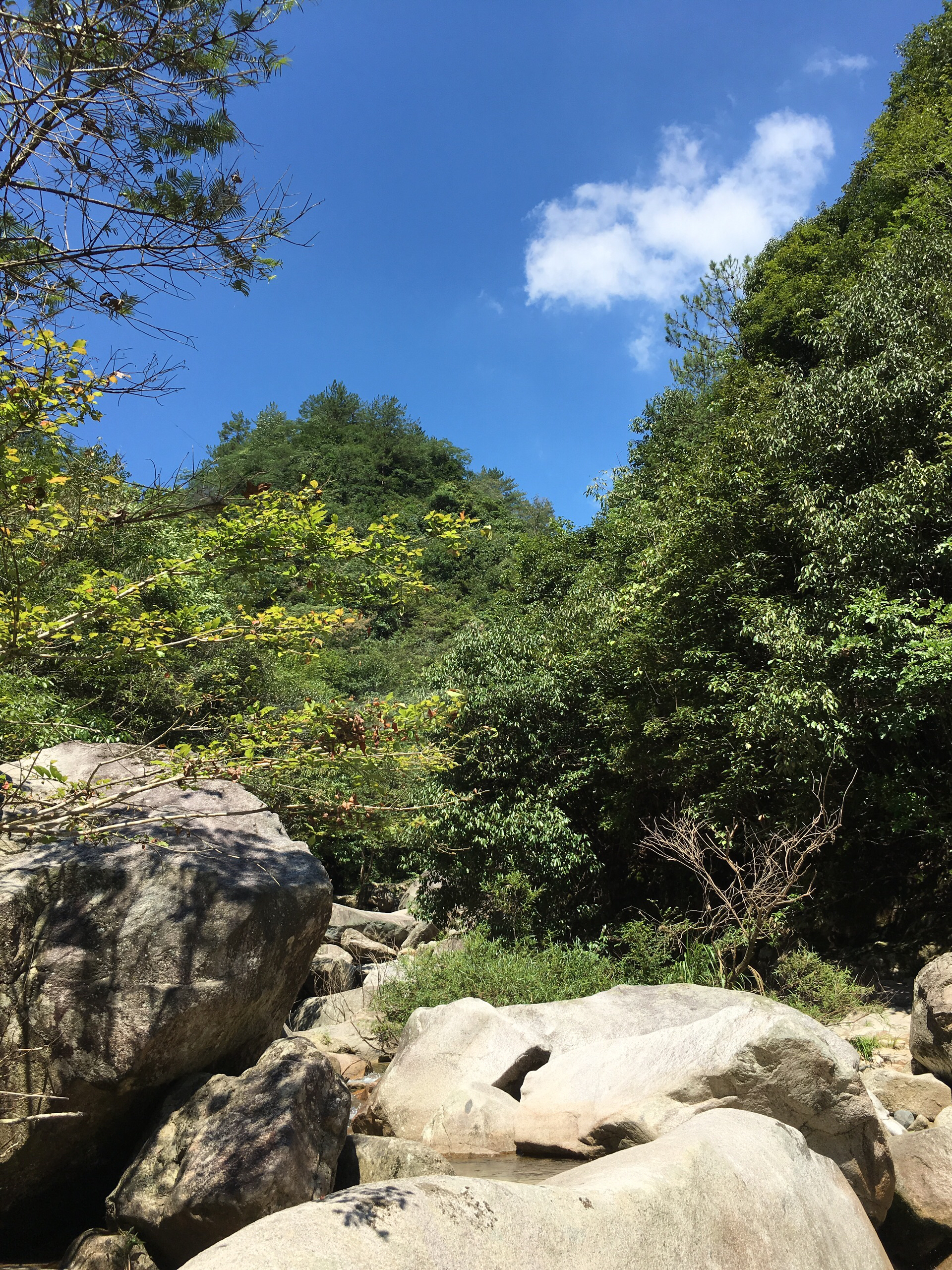 【岳西景点图片】妙道山风景区