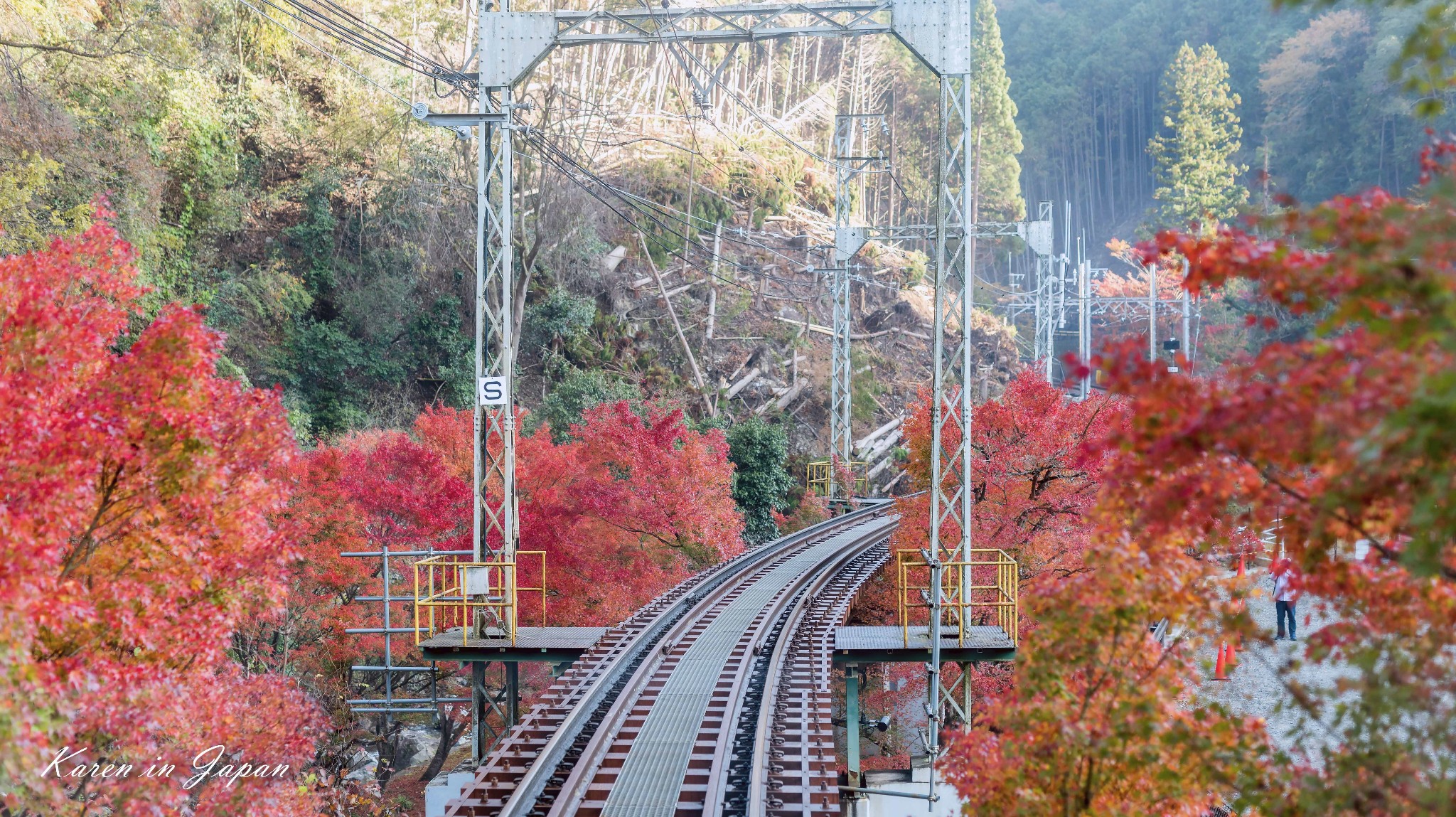 睿山电车红叶隧道攻略 睿山电车红叶隧道门票 地址 睿山电车红叶隧道景点攻略 马蜂窝