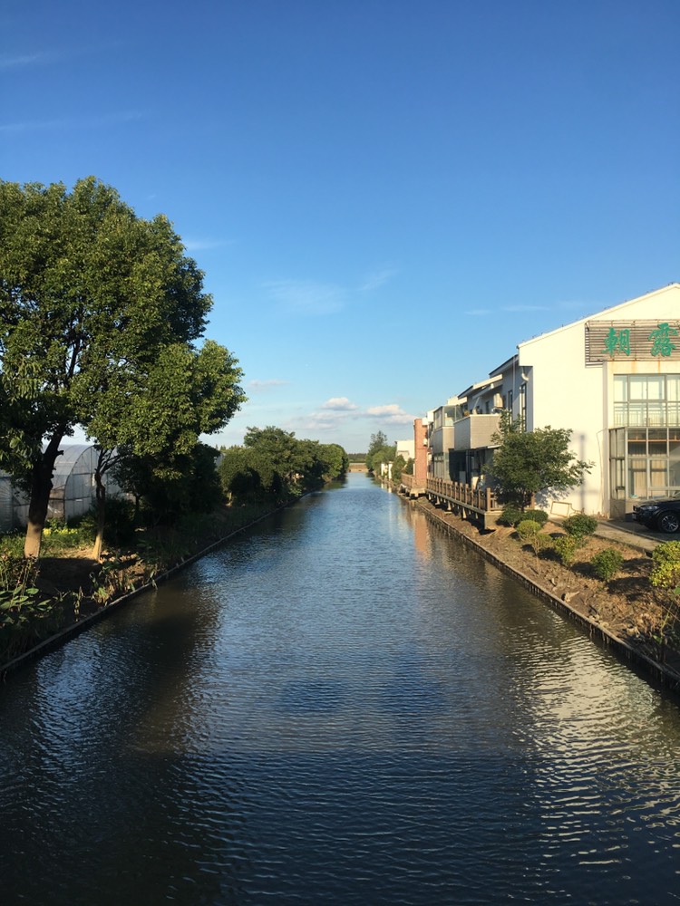 曹路草莓园图片