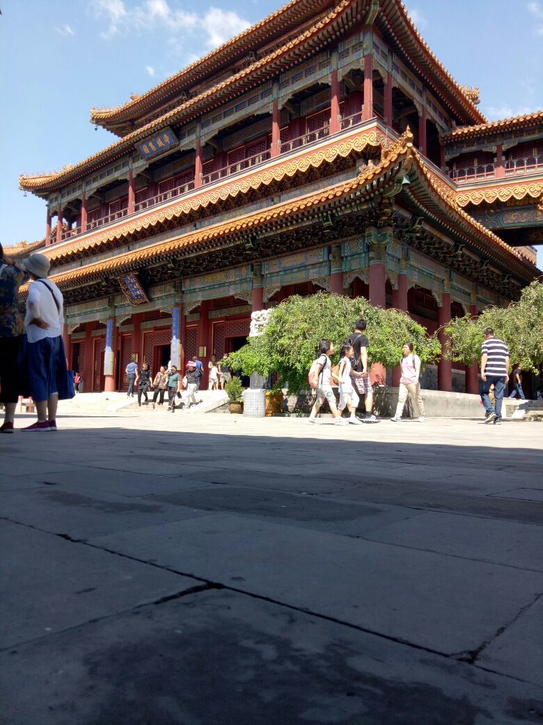 北京腿脚不好老人旅游攻略(北京适合腿脚不便的老人旅游的地方)