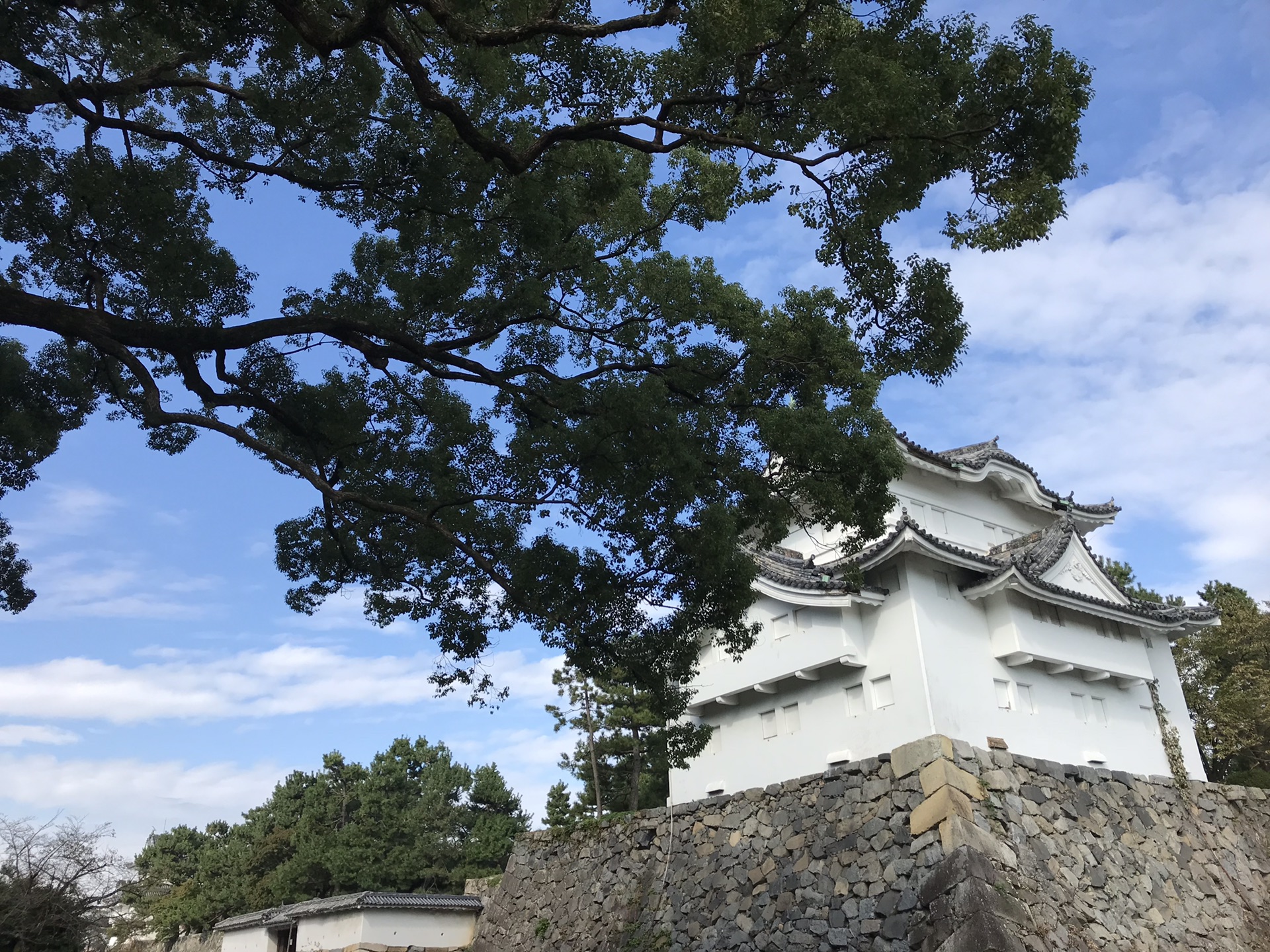 名古屋自助遊攻略