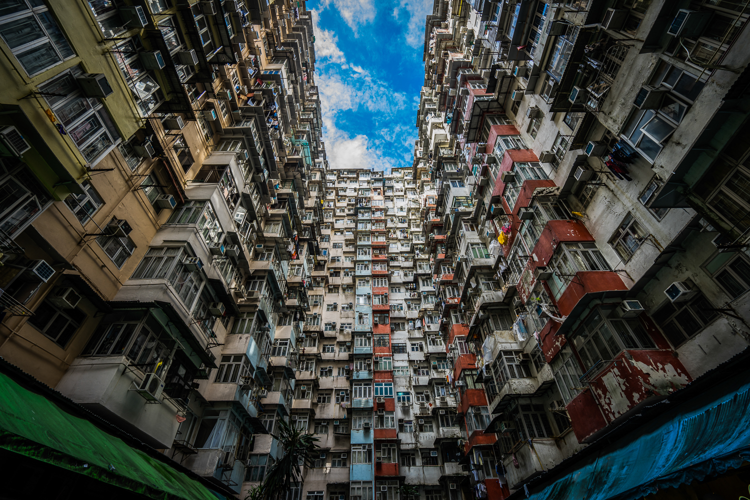 香港景点马蜂窝图片