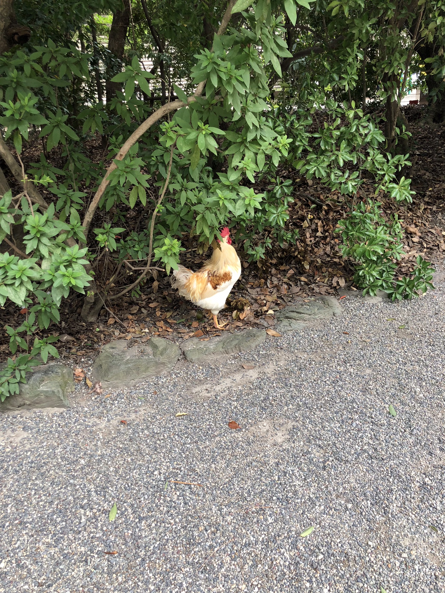 名古屋自助遊攻略