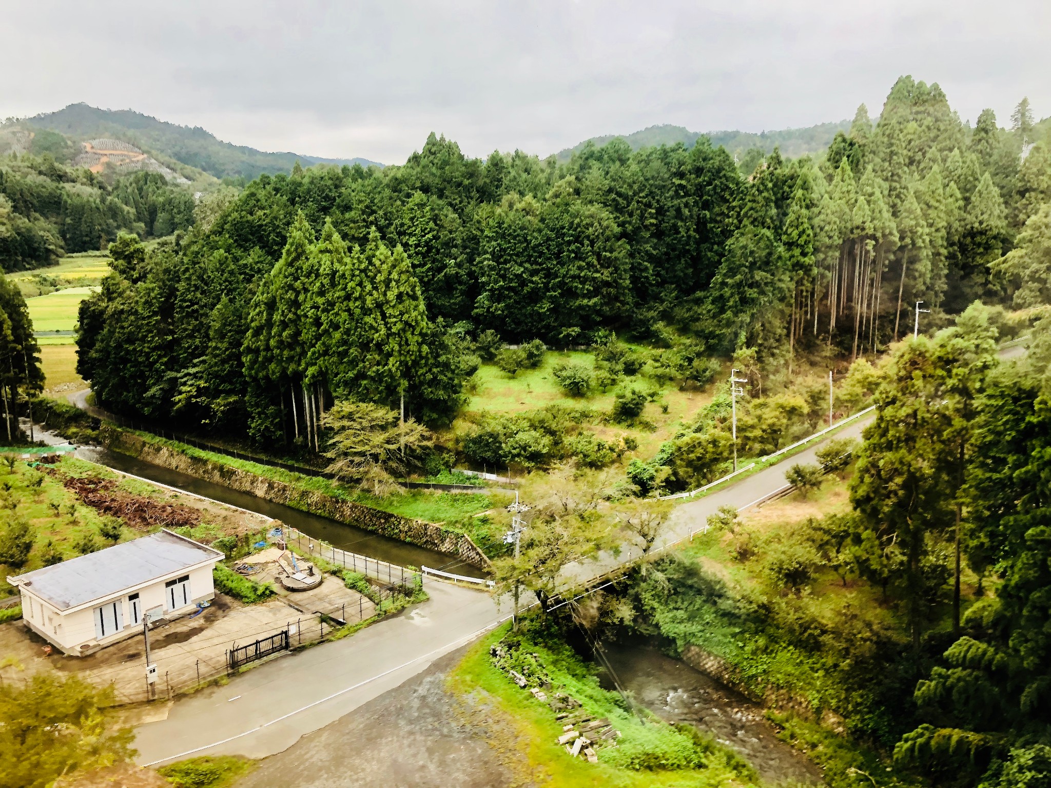 京都自助遊攻略