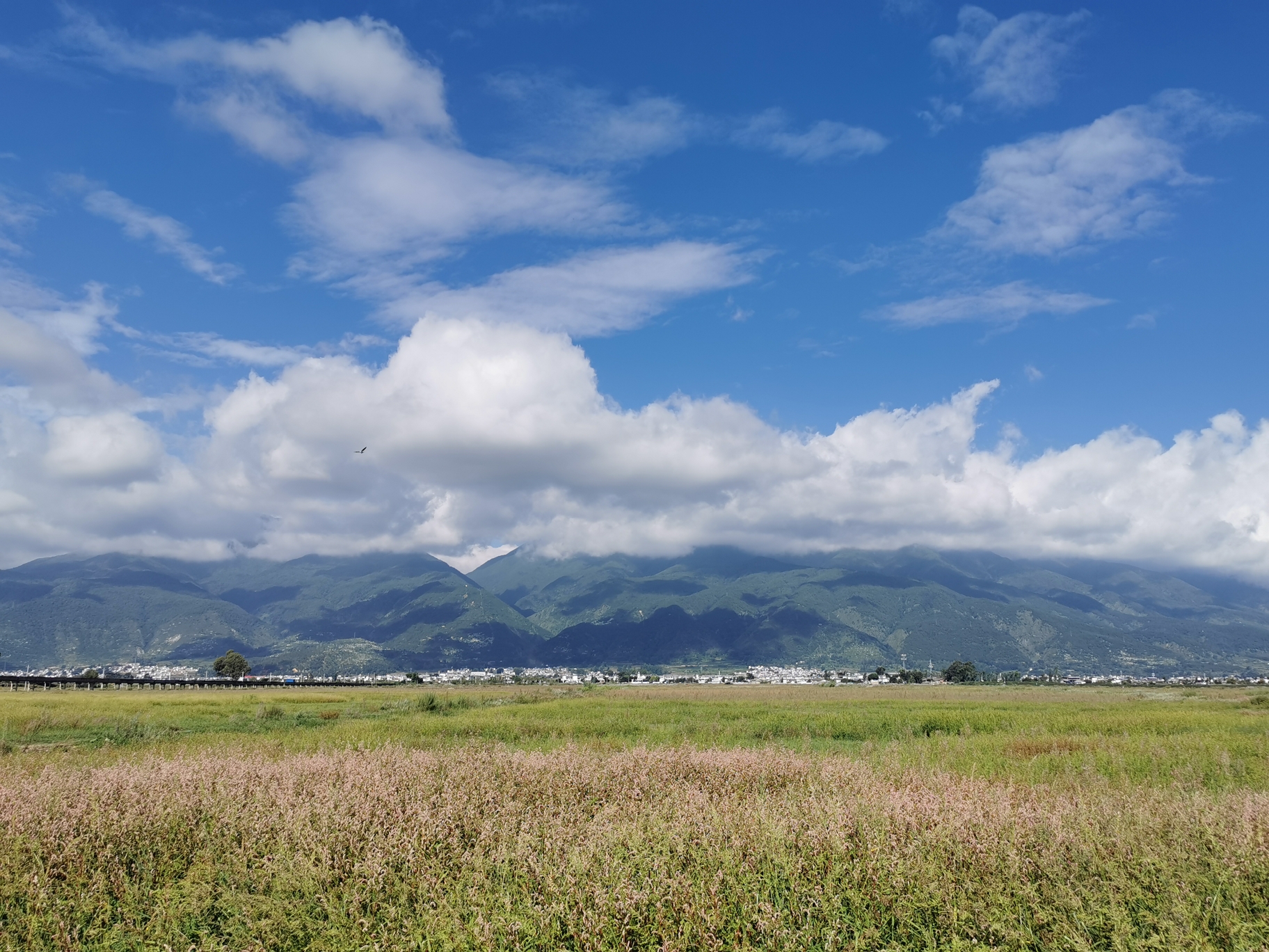 麗江自助遊攻略