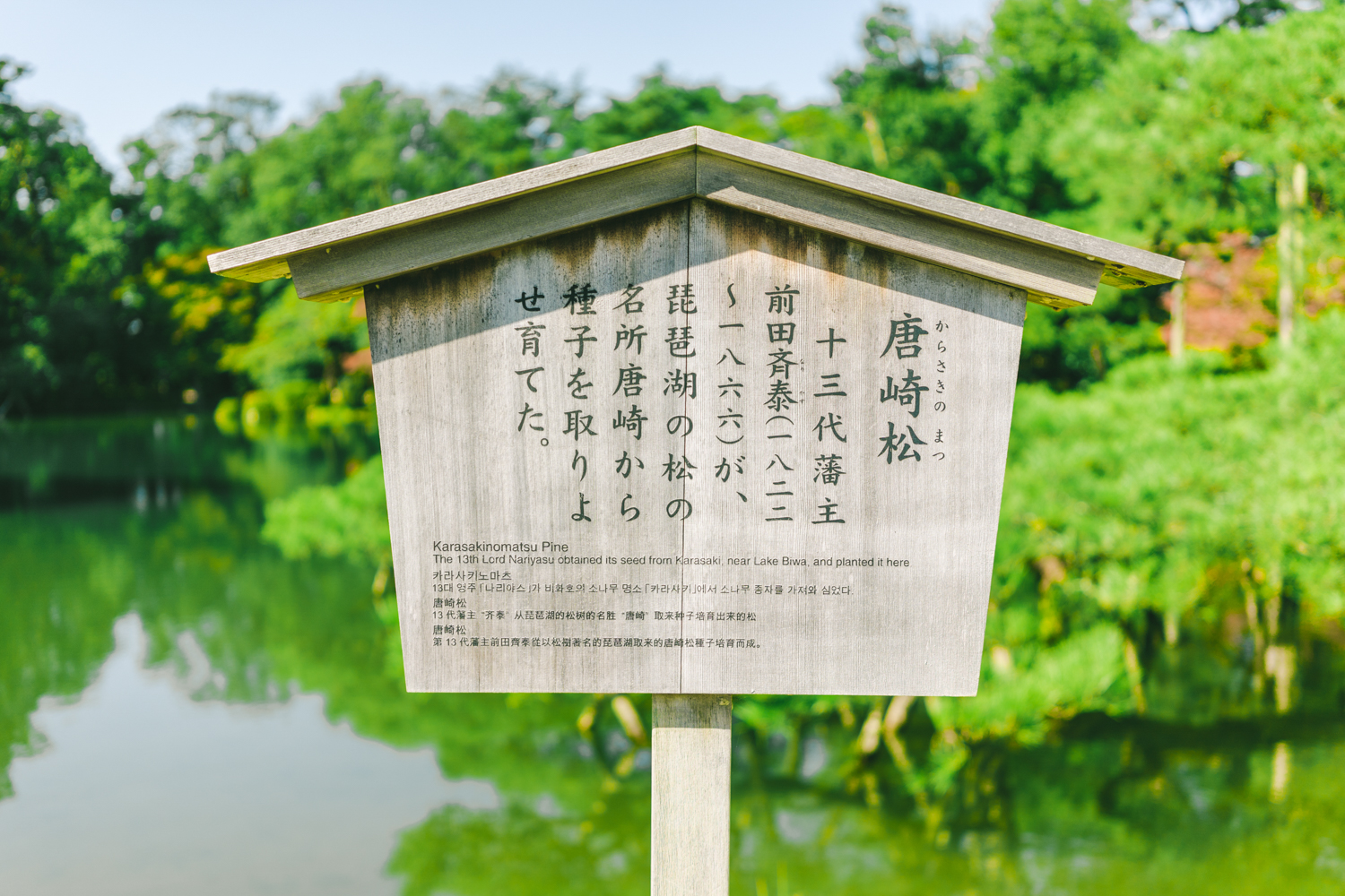 兼六园攻略 兼六园门票 地址 兼六园景点攻略 马蜂窝