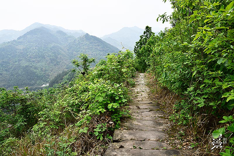 长篇连载一个人的盐茶古道序言