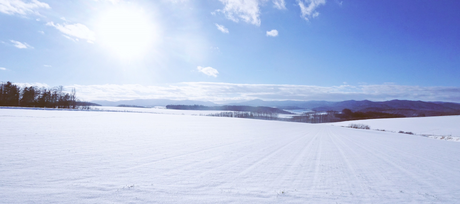 北海道自助遊攻略